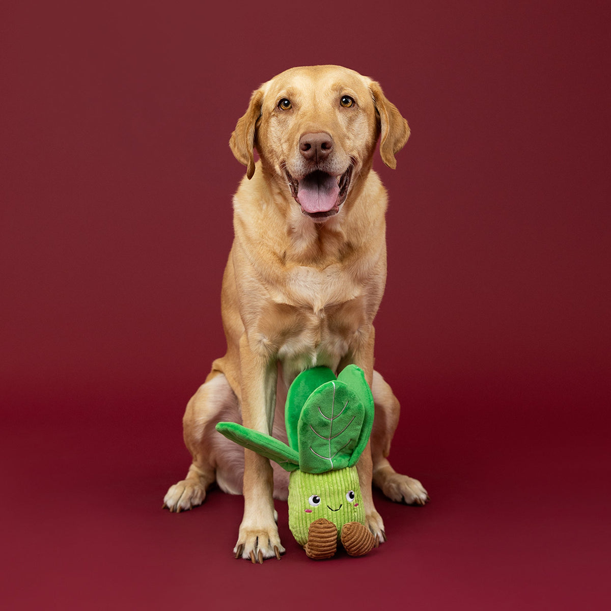 Fringe Studio Plush Squeaker Dog Toy - I'll Be Bok — lifestyle photo with dog