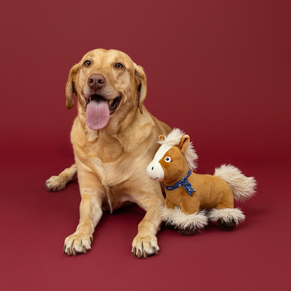 Fringe Studio Plush Squeaker Dog Toy - Hay There Cutie — lifestyle photo with dog