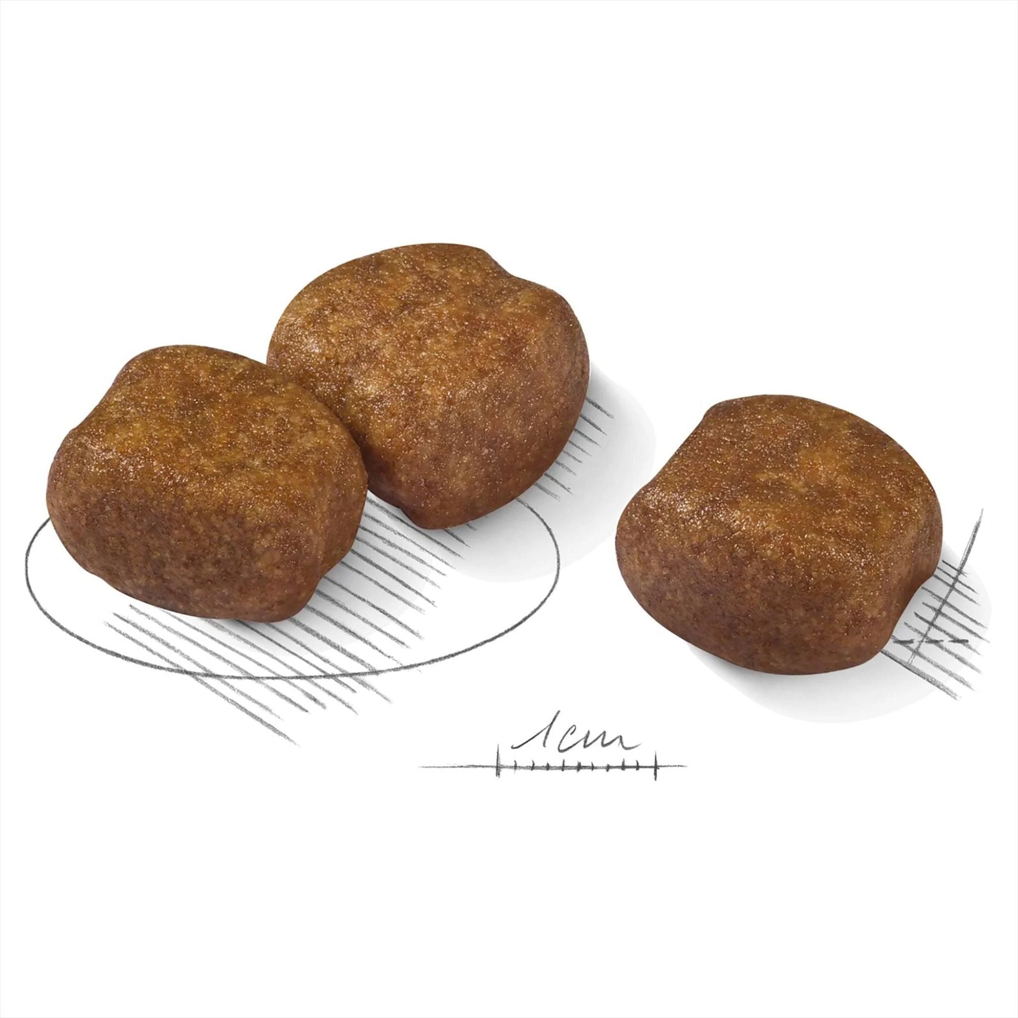 Royal Canin Maxi Dental Care