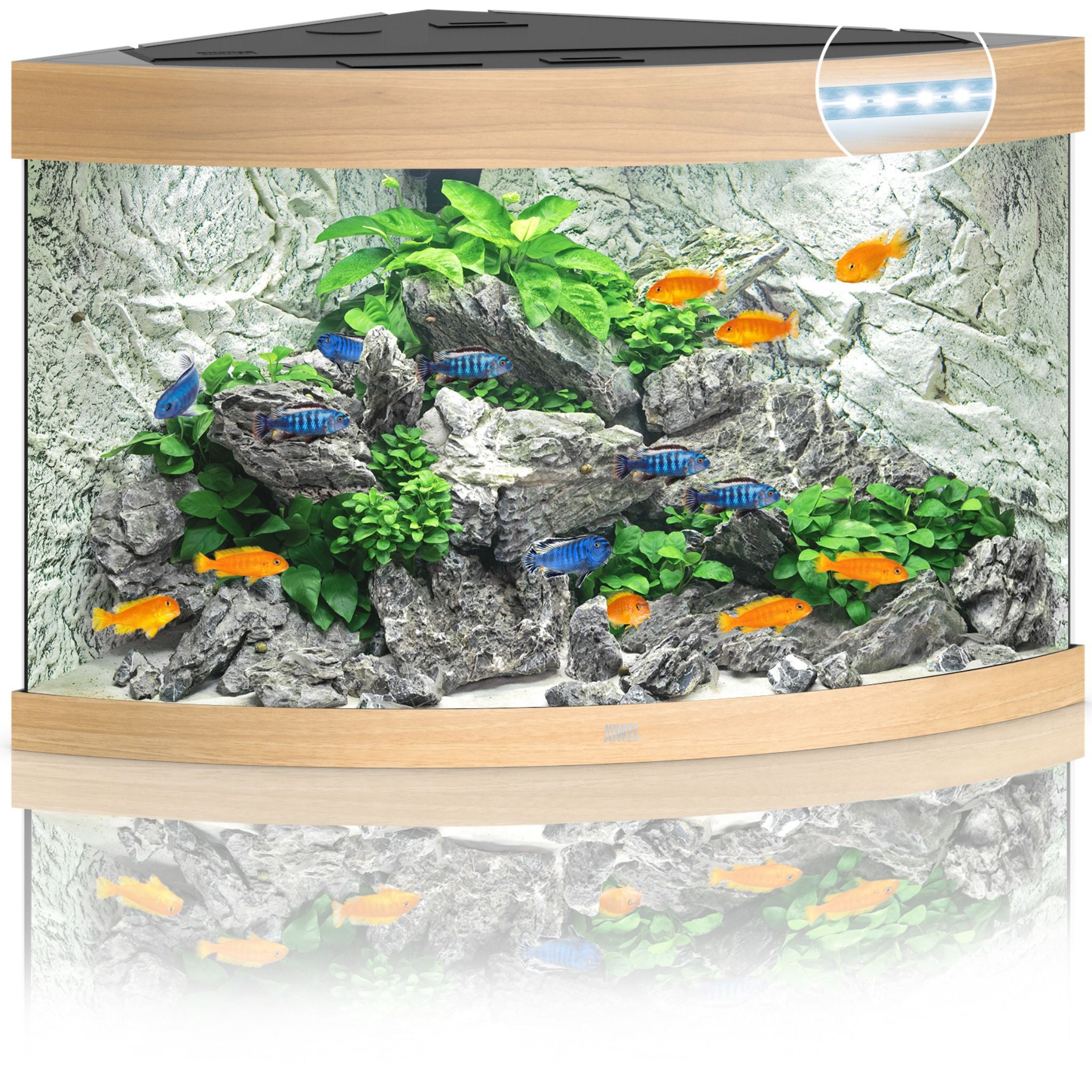 Juwel Trigon LED Aquarium 350L