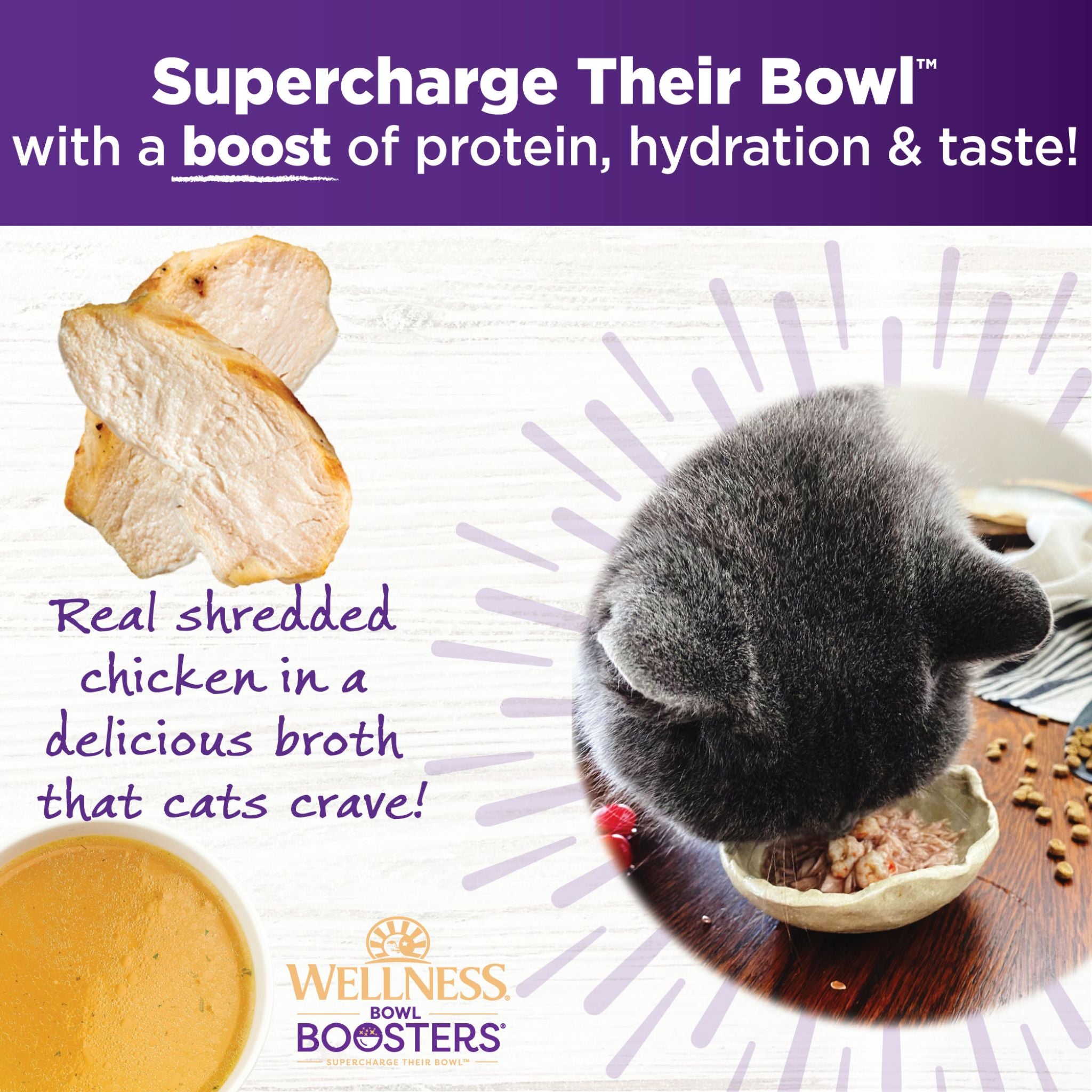 Wellness Core Wet Cat Food Topper Simply Shreds Shredded Boneless Chicken