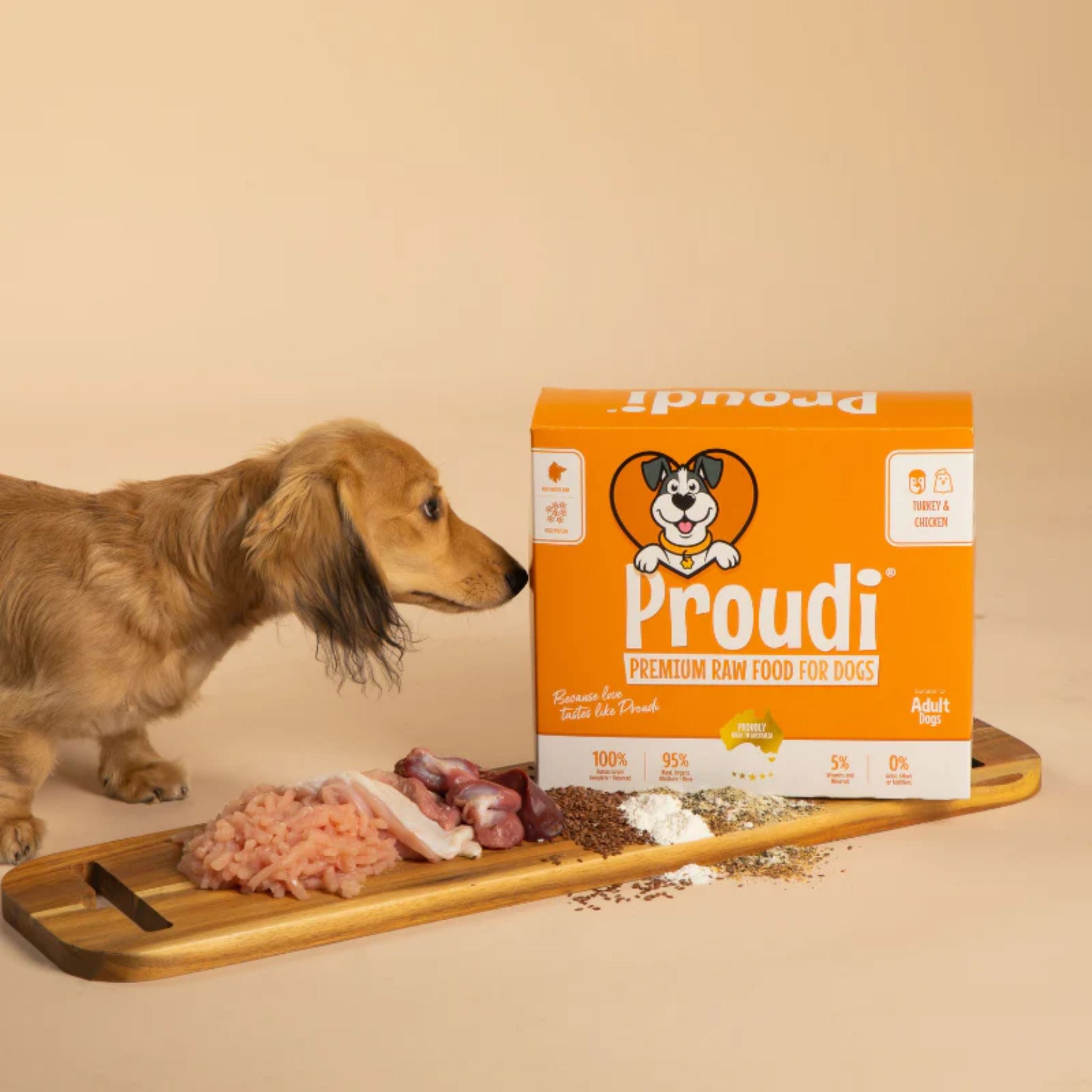 Proudi Turkey and Chicken Raw Patties for Dogs
