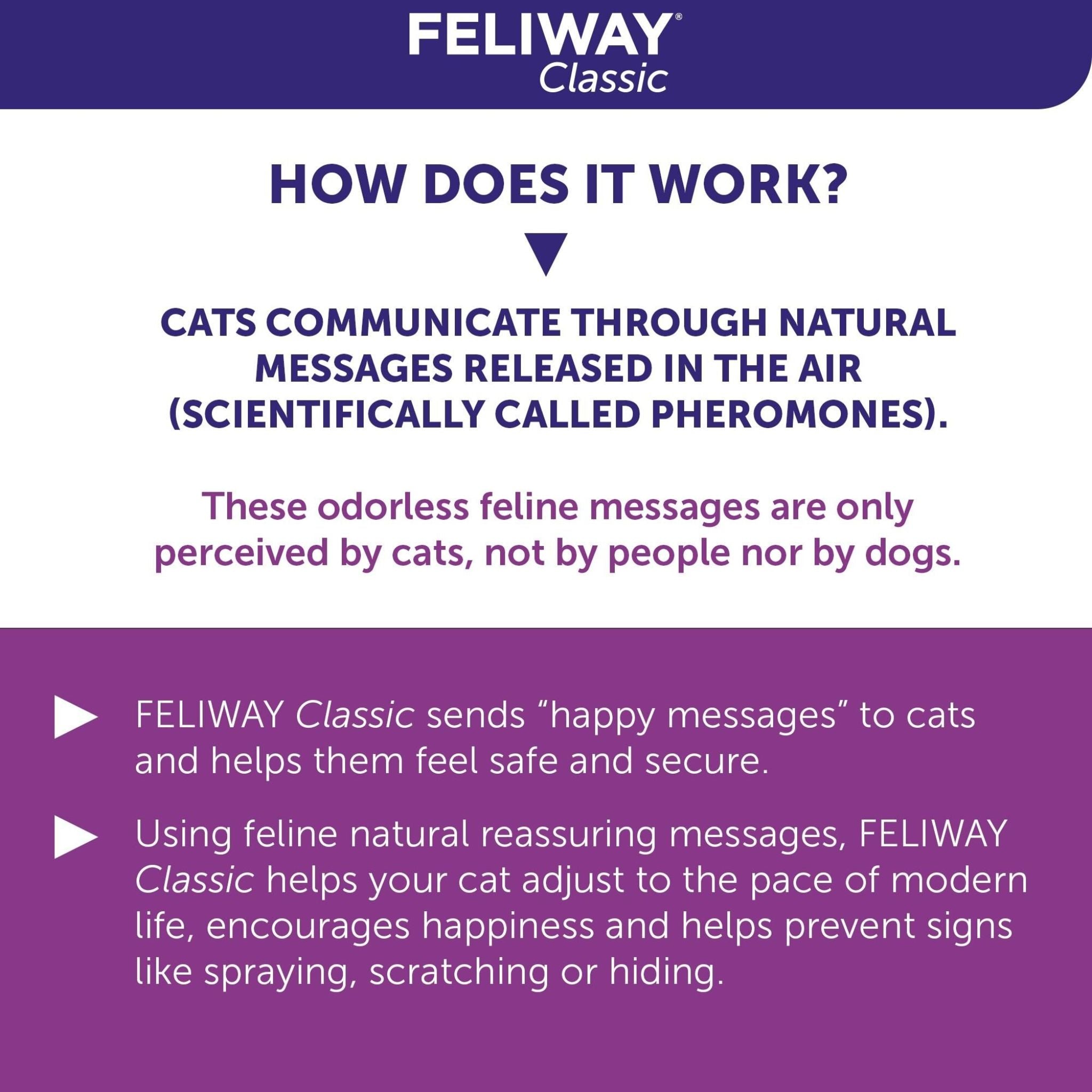 Feliway Spray