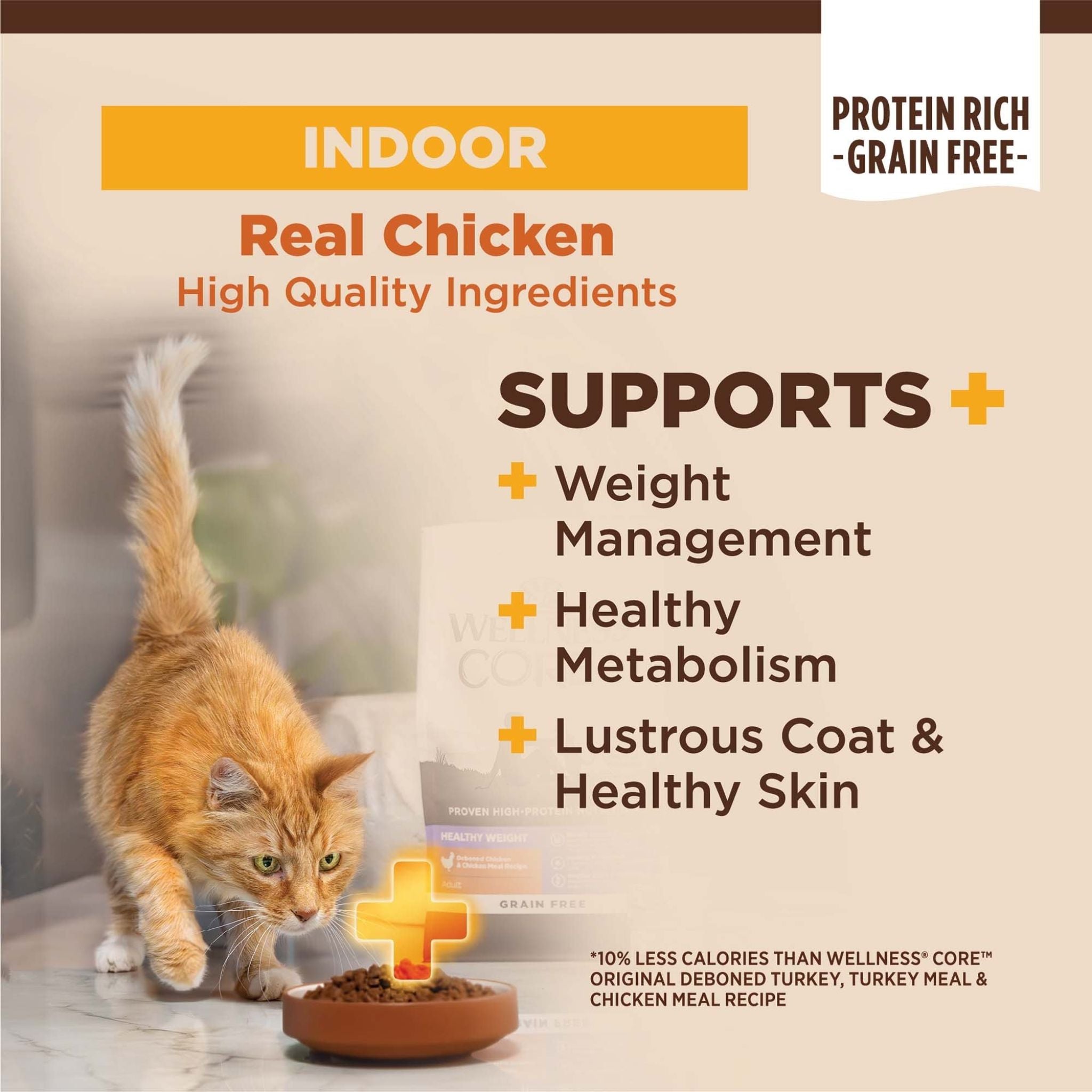 Wellness Core Dry Cat Food Grain Free Indoor: Chicken & Turkey