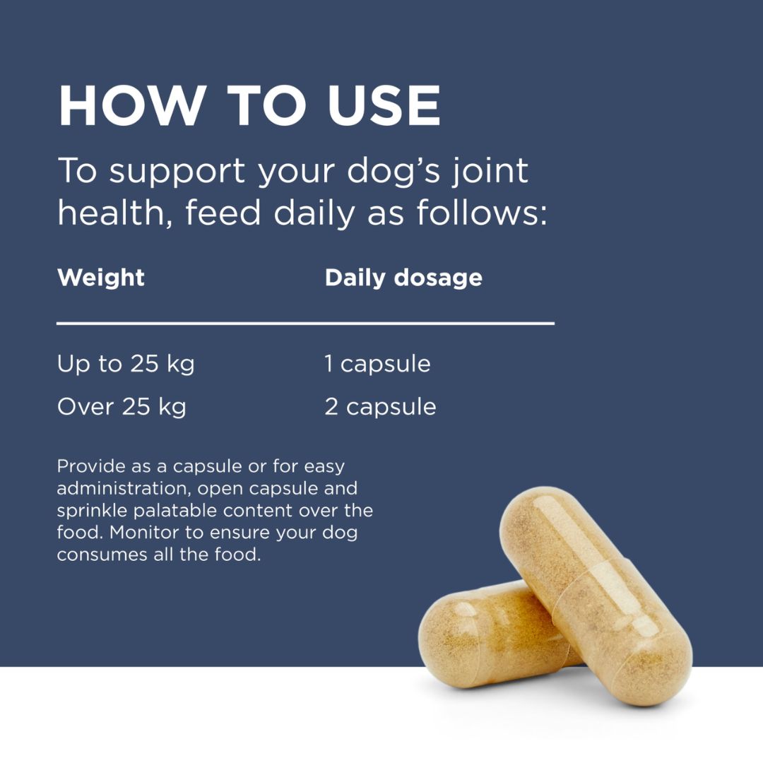 PAW by Blackmores OsteoSupport Joint Care Powder for Dogs