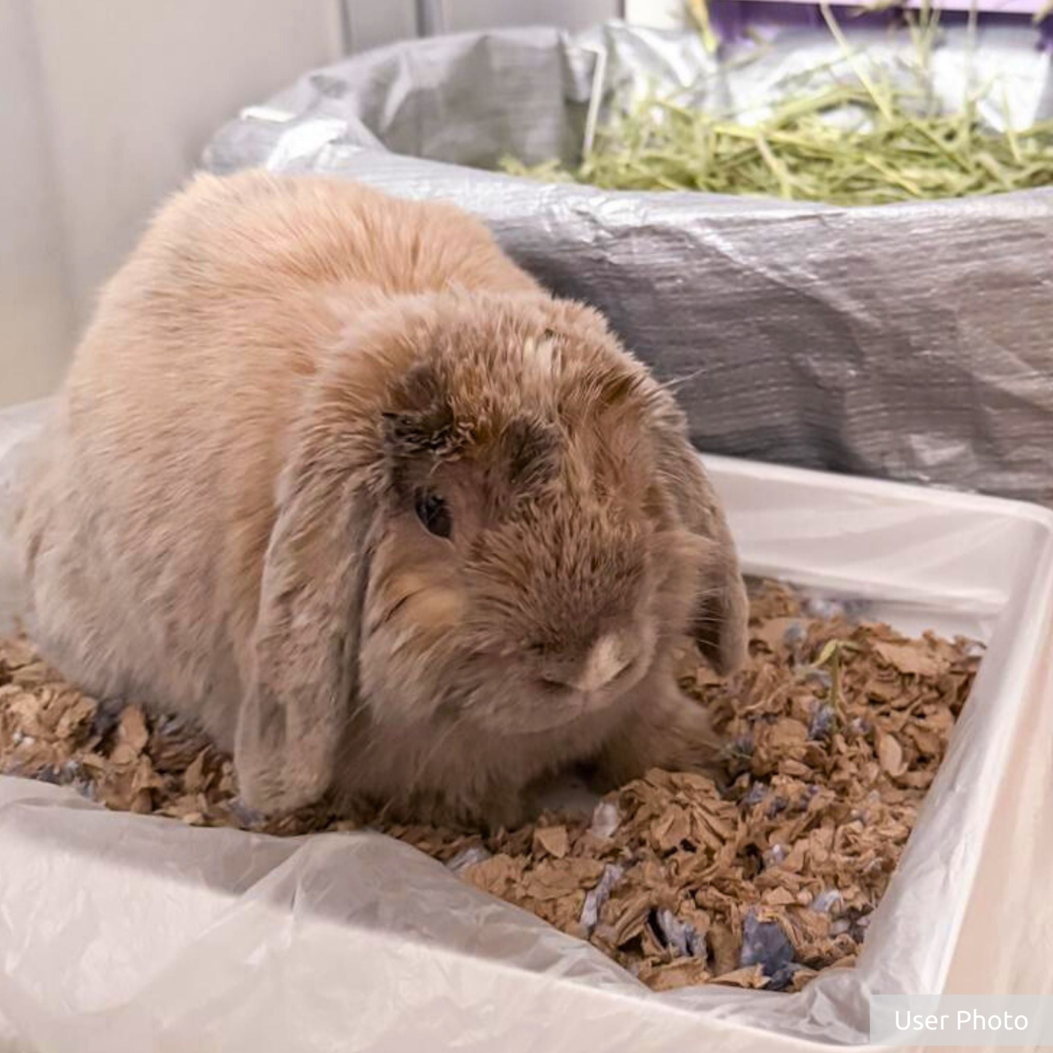 Kaytee Clean & Cozy Natural Paper with Extreme Odor Control Bedding