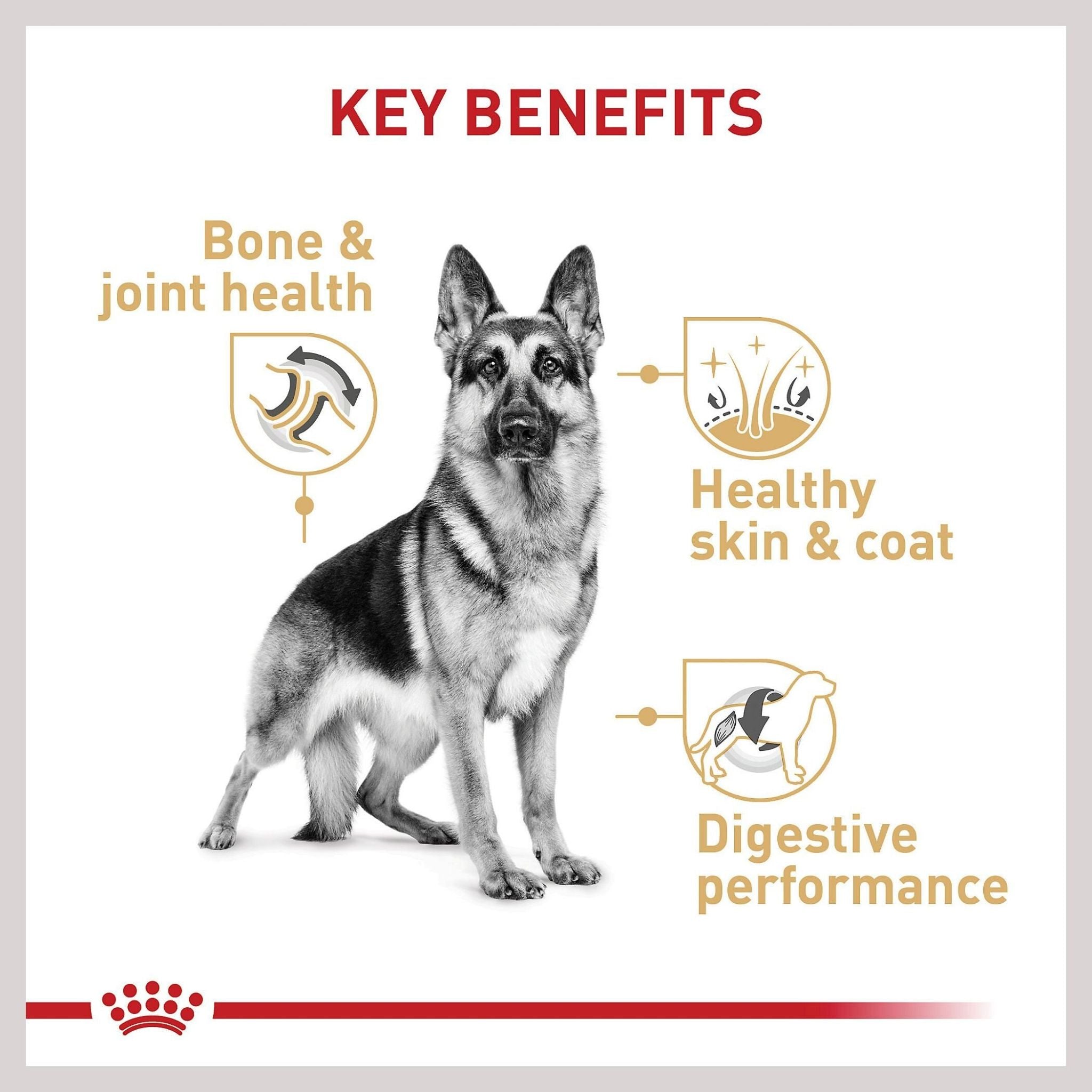 Royal Canin German Shepherd Dry Dog Food