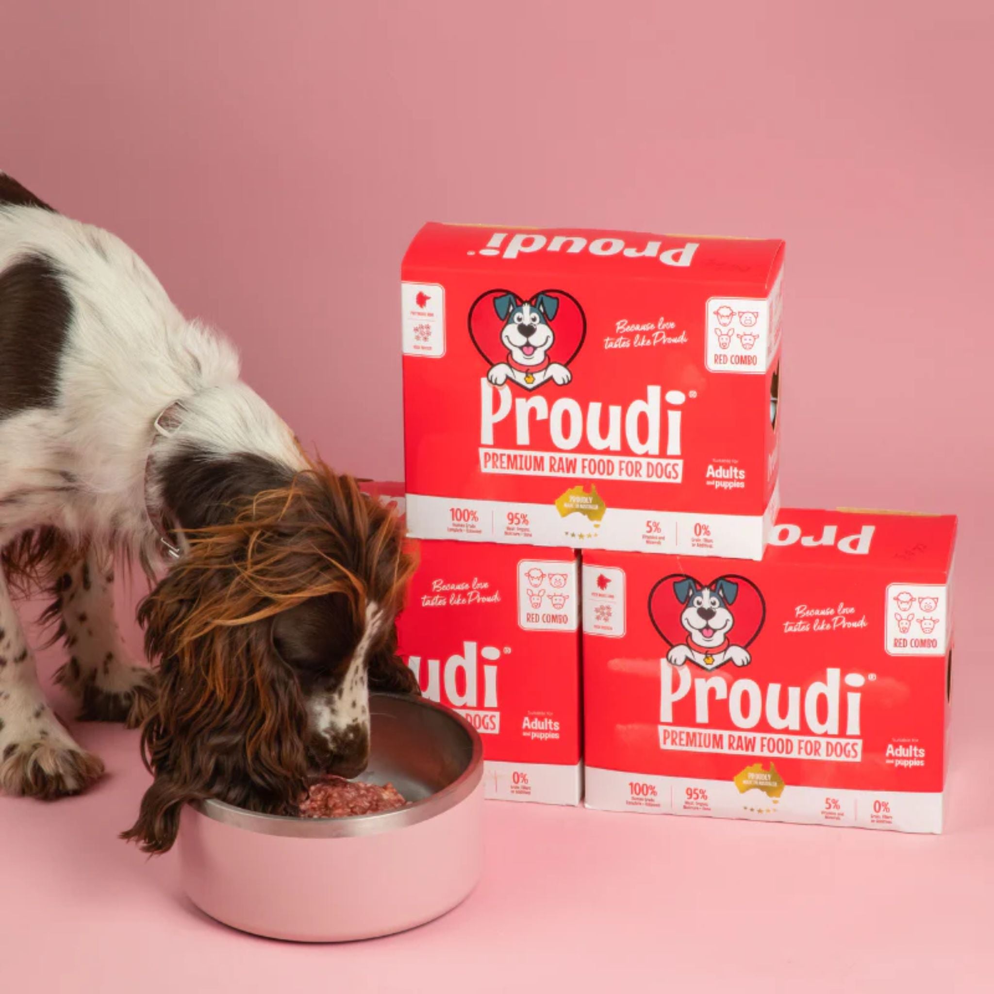 Proudi Red Combo Raw Patties for Dogs