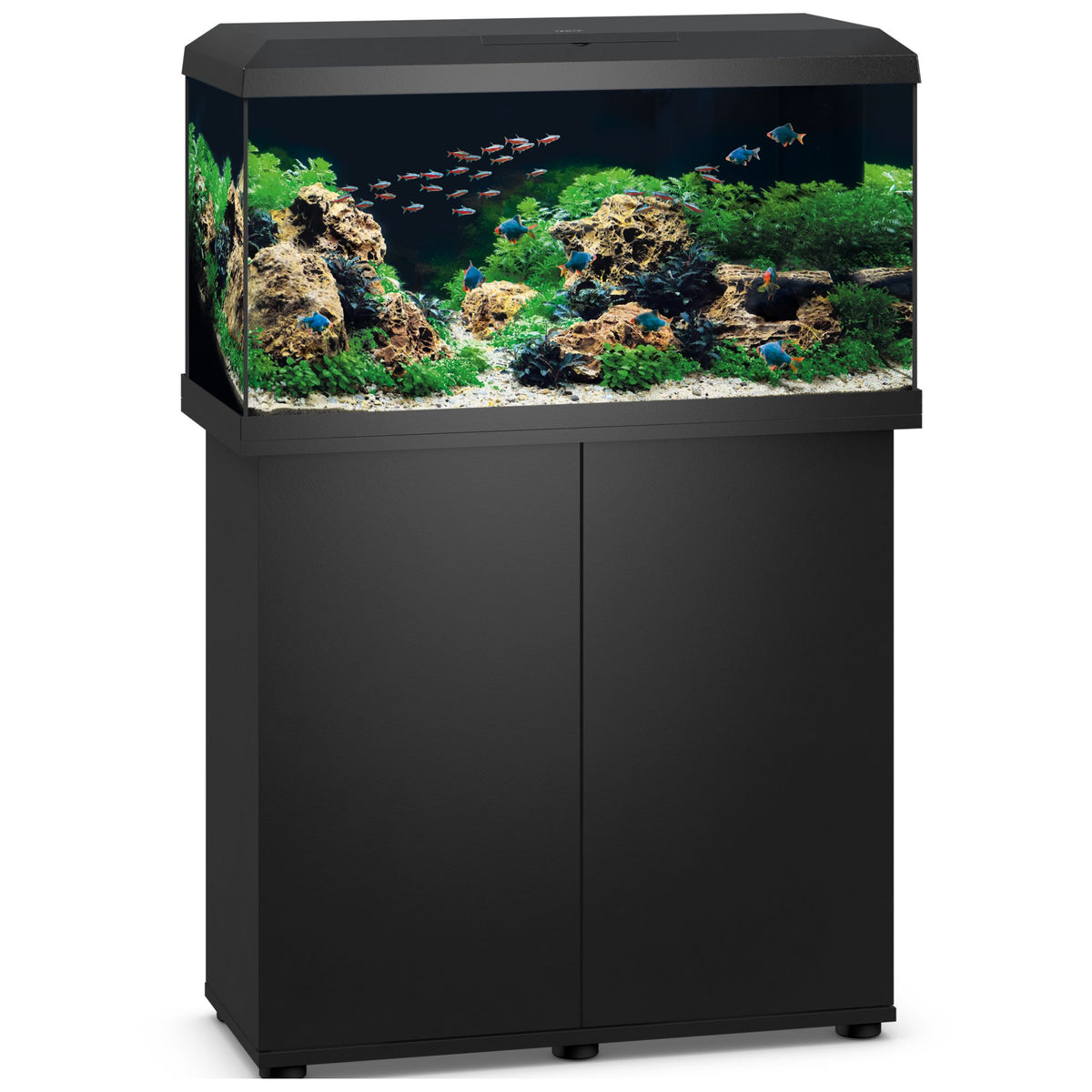 Black Juwel Primo 110L aquarium standing on a matching black cabinet