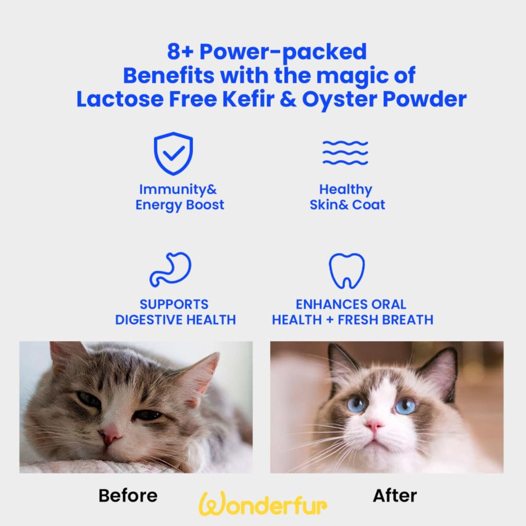 Wonderfur Bites Senior Support for Cats