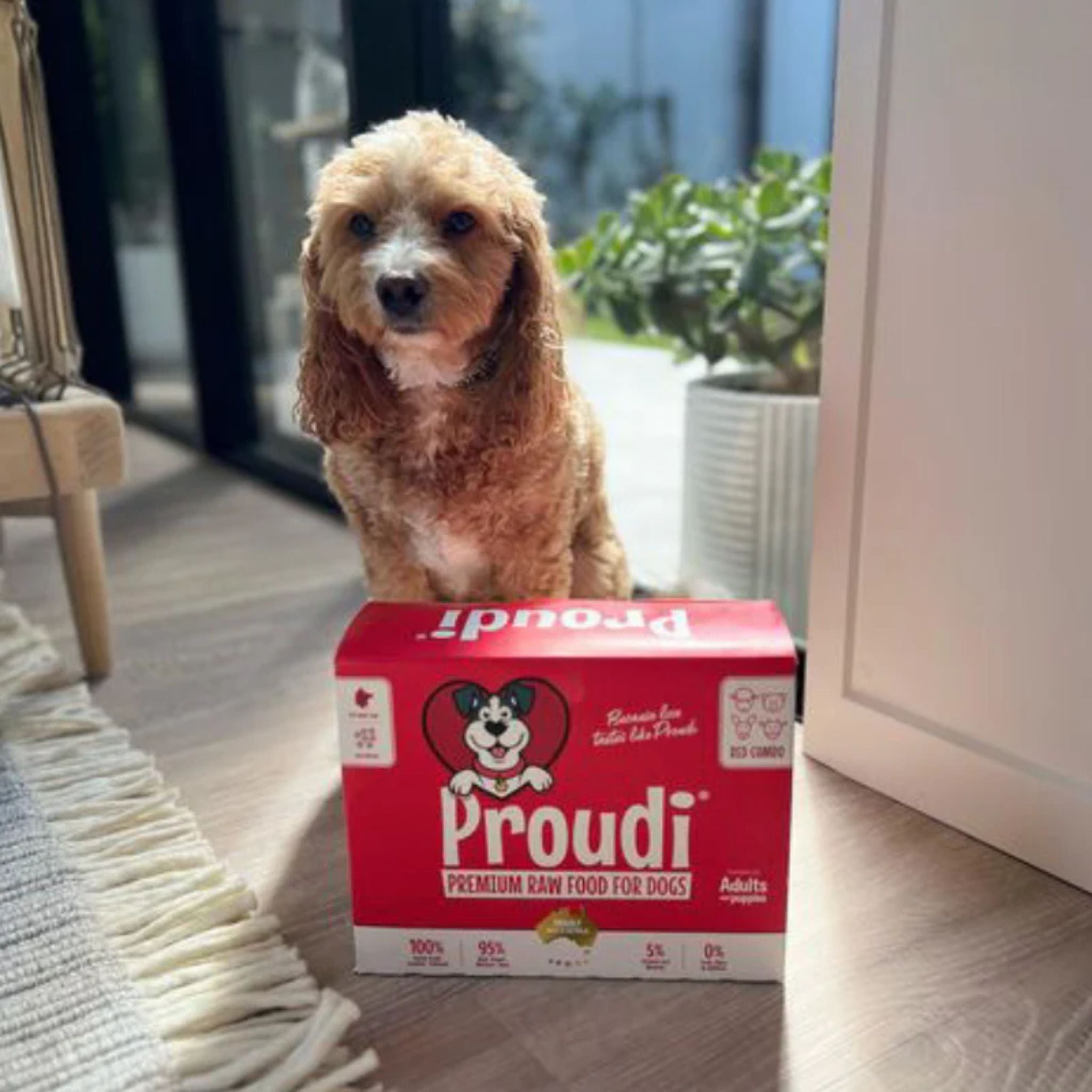 Proudi Red Combo Raw Patties for Dogs