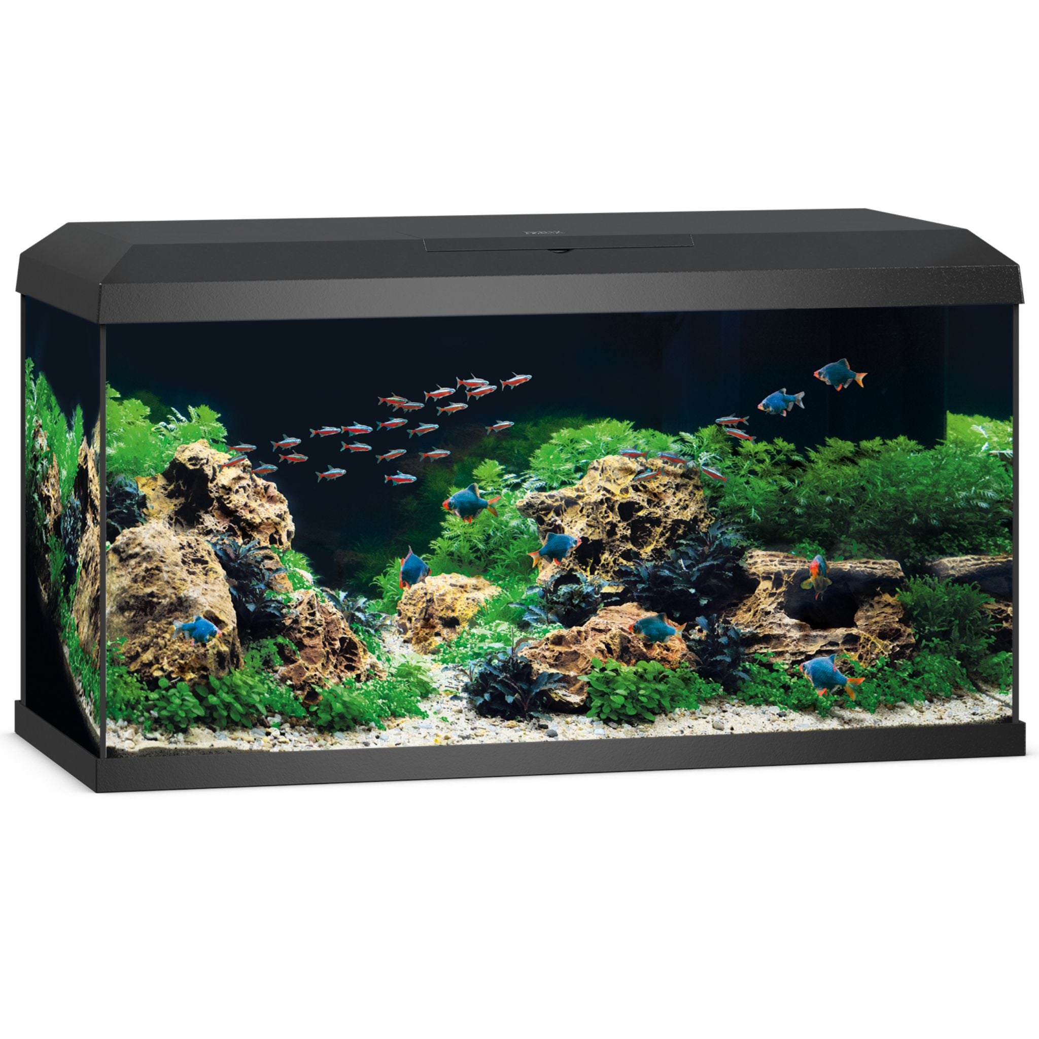 Juwel Primo LED Aquarium 110L
