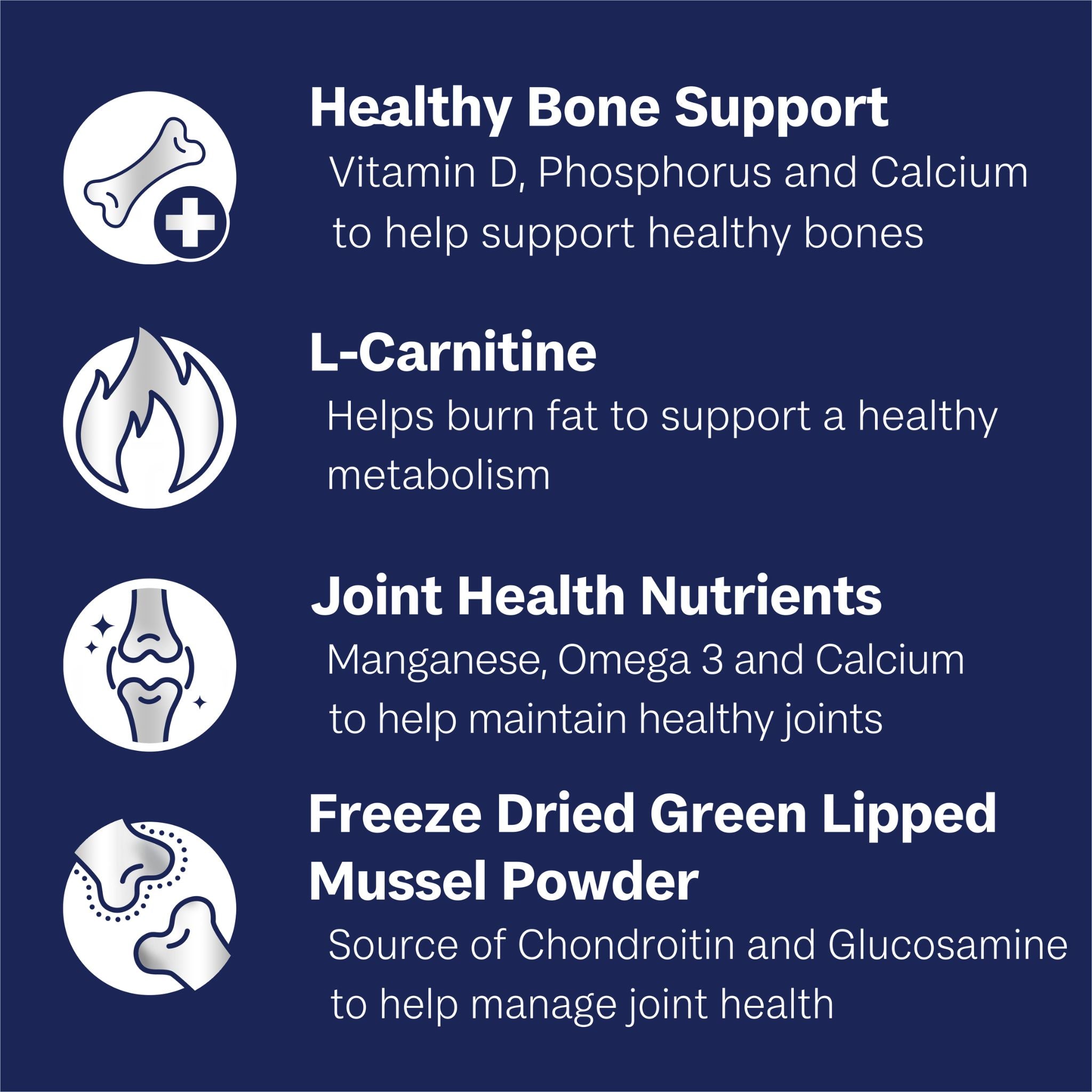 ADVANCE Dry Dog Food Mobility Adult Large Breed Chicken with Rice