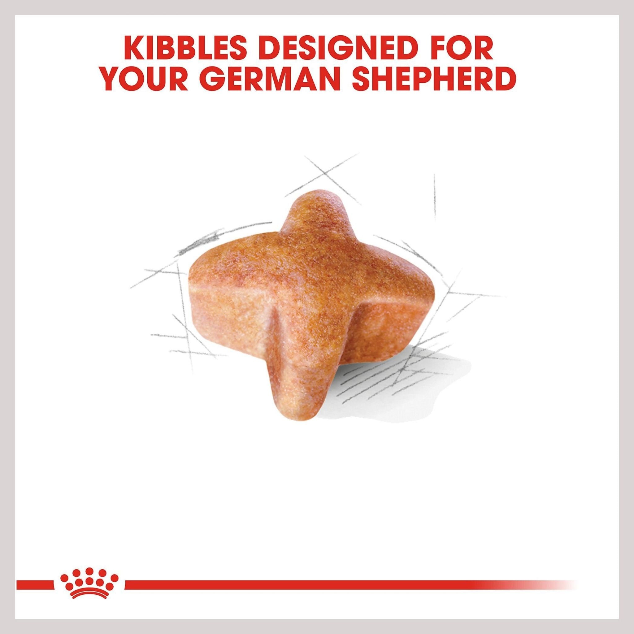 Royal Canin German Shepherd Dry Dog Food