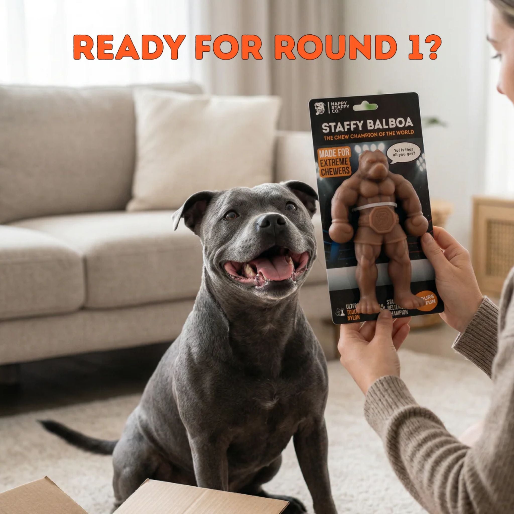 Happy Staffy Co Staffy Balboa Dog Toy