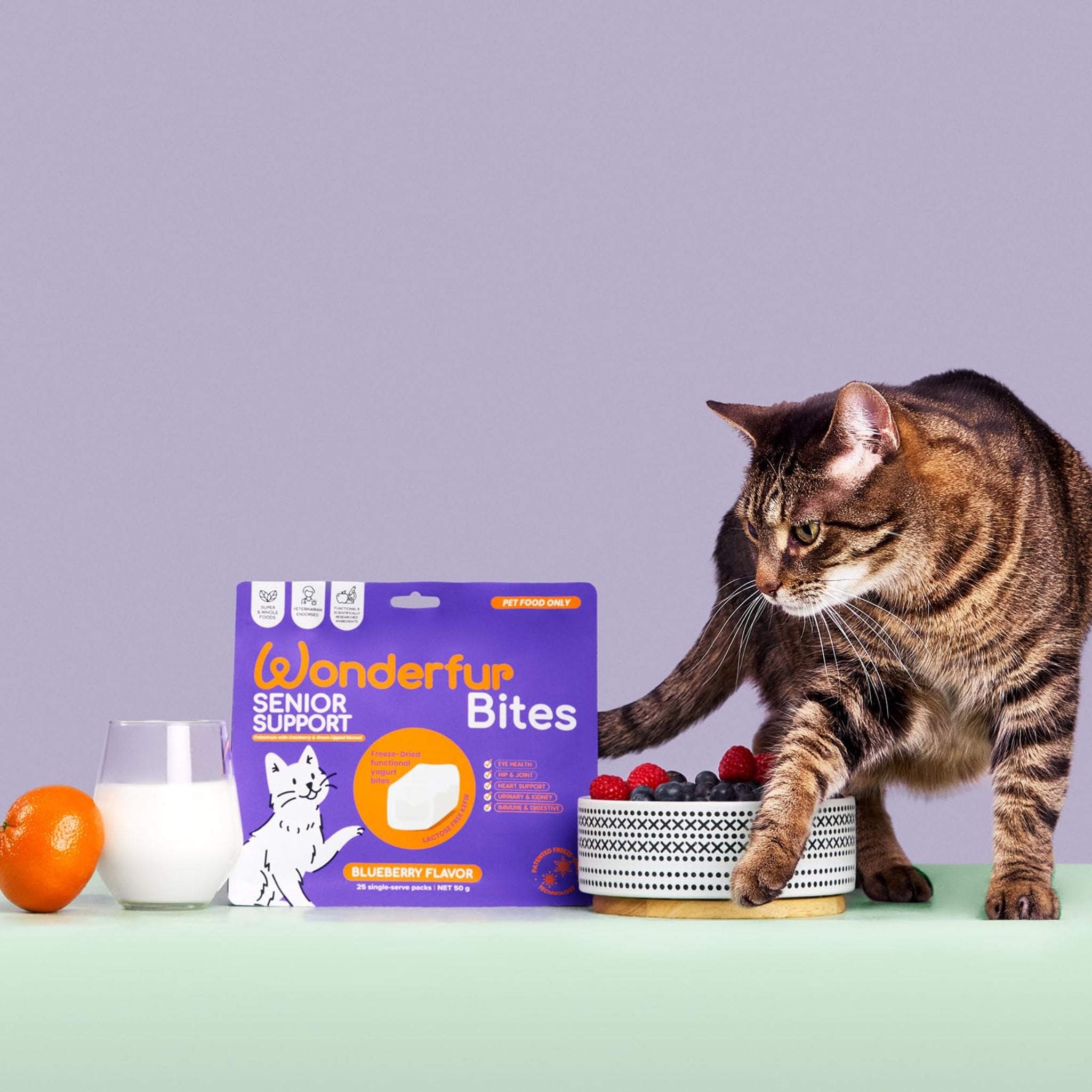 Wonderfur Bites Senior Support for Cats