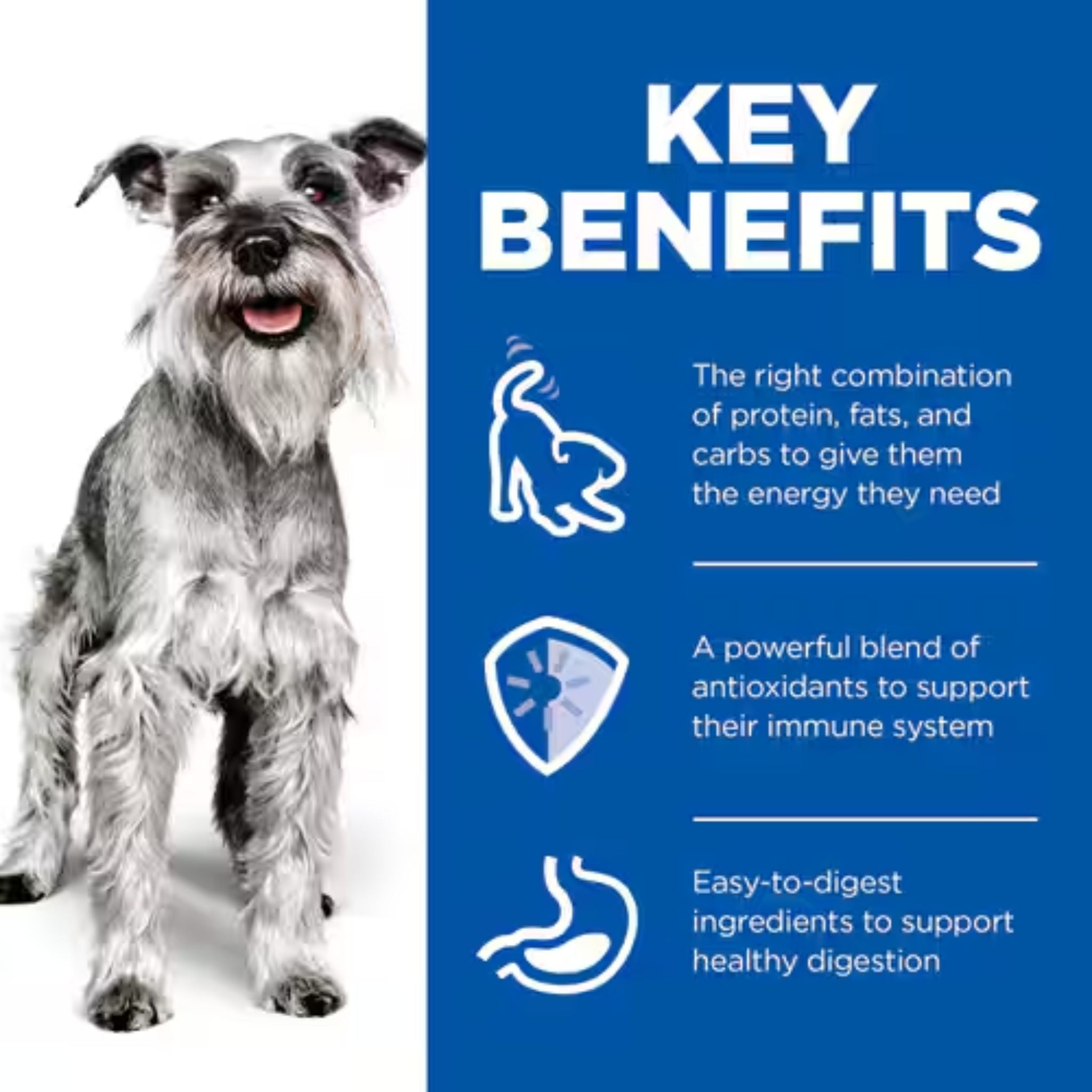 Hill's Science Diet Adult 7+ Small & Mini Dog Mousse with Chicken