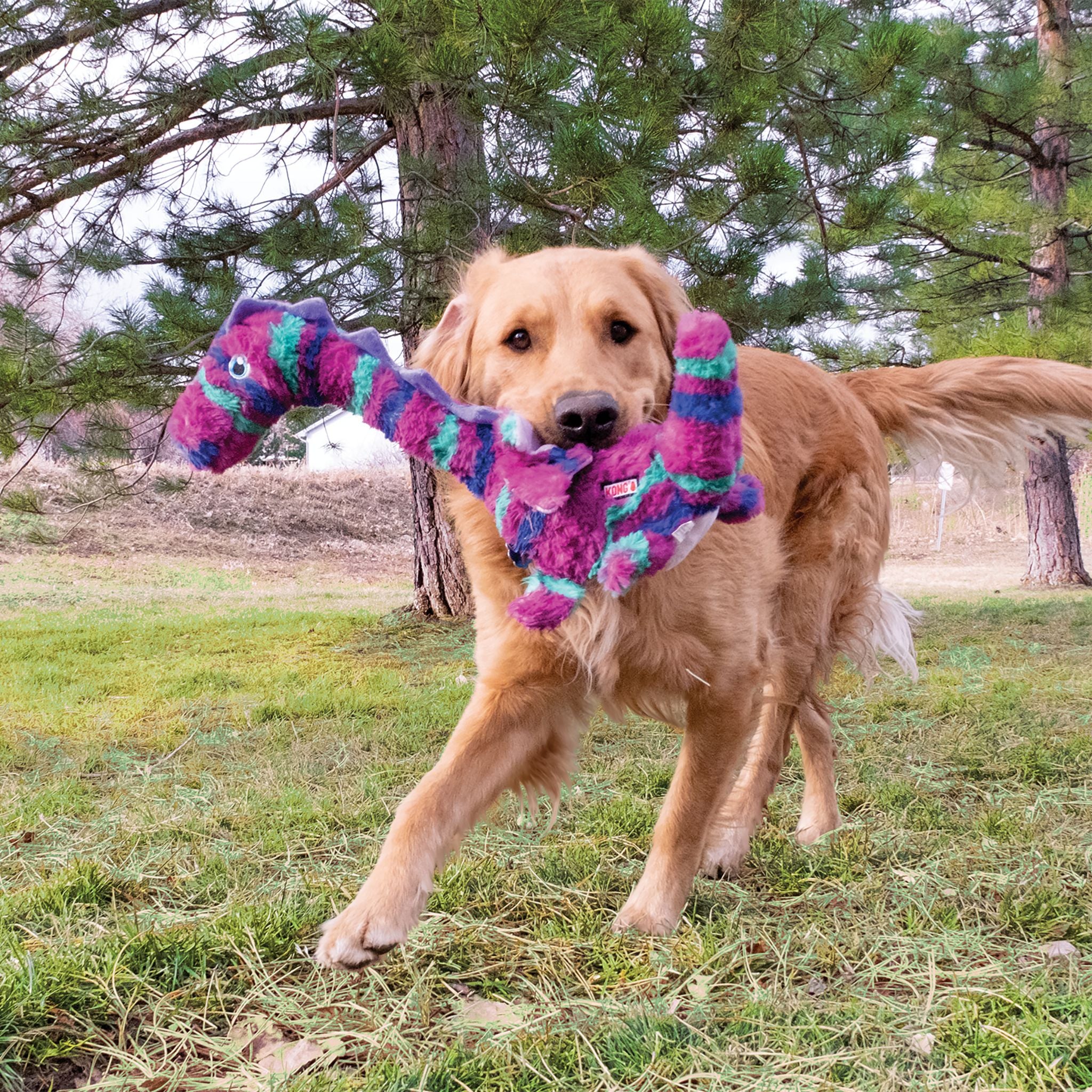 KONG Shakers Honkers Dragon Dog Toys