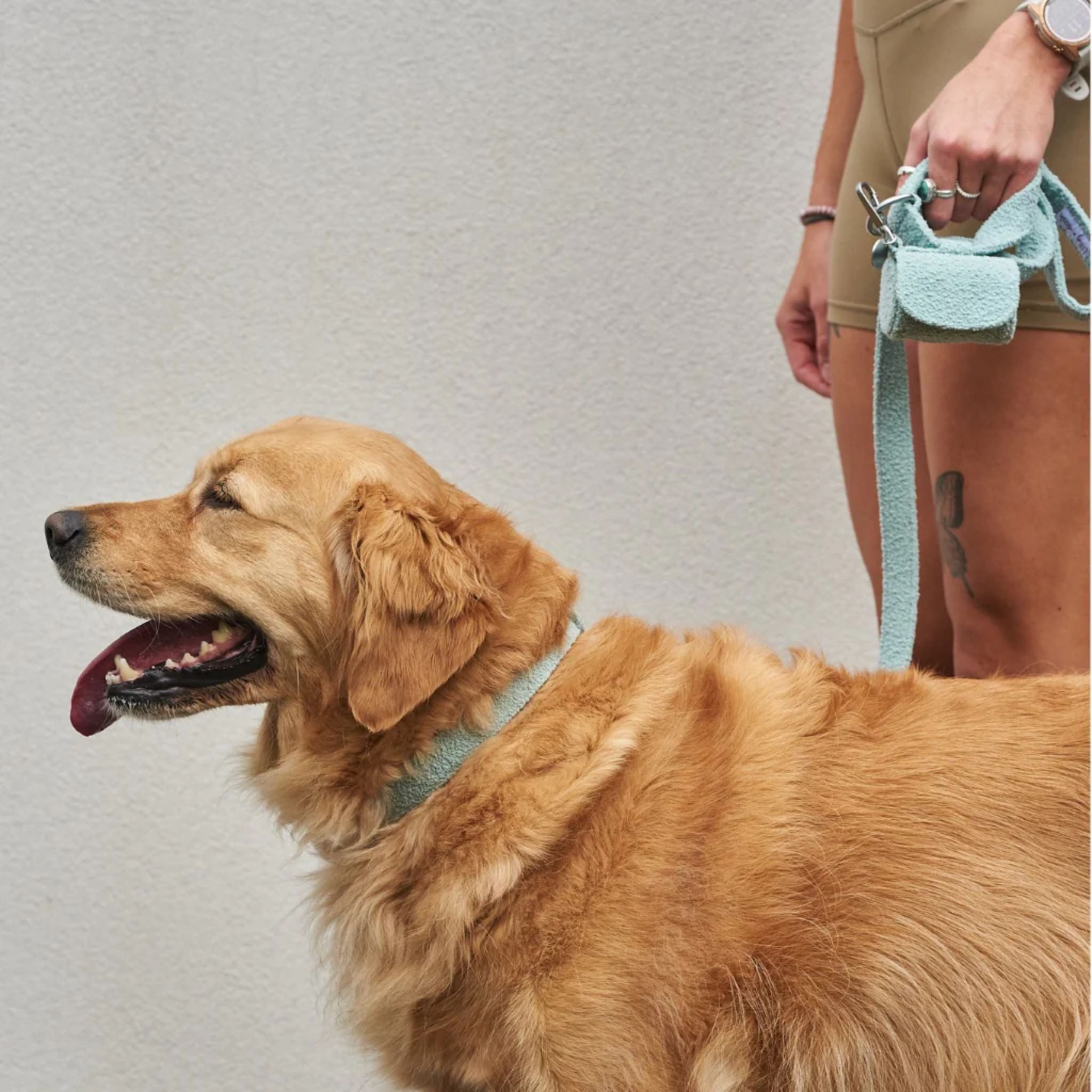 Lilly and Dash Waste Bag Holder