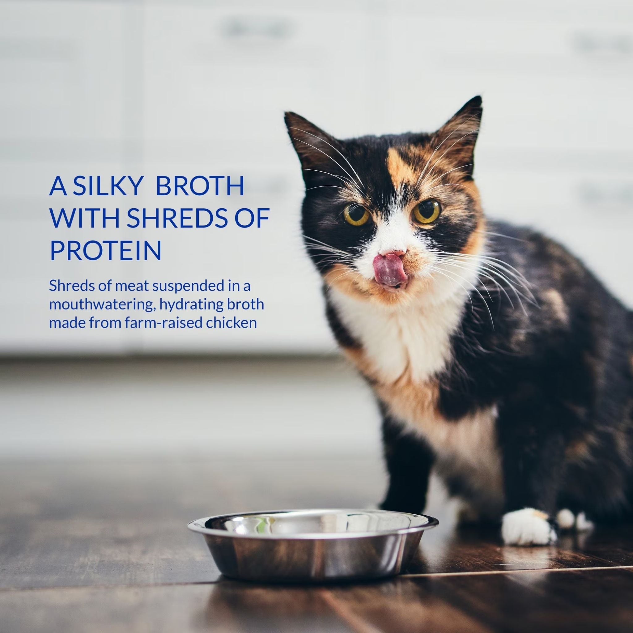 Inaba Cat Treat Churu Broth Chicken and Tuna