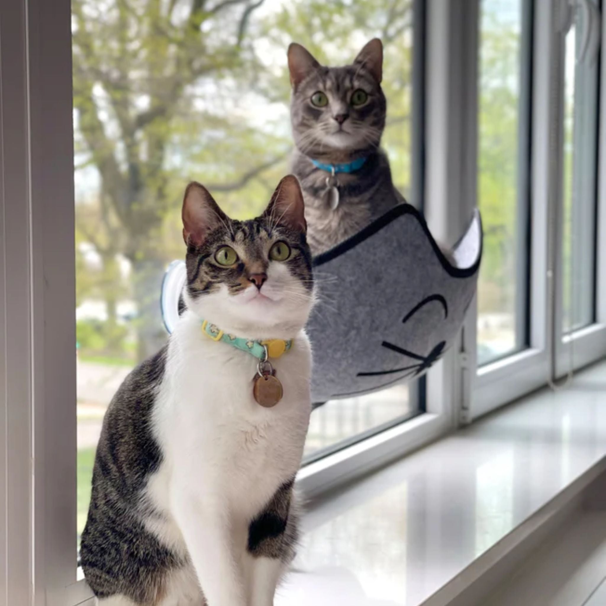 K&H EZ Mount Kittyface Window Bed