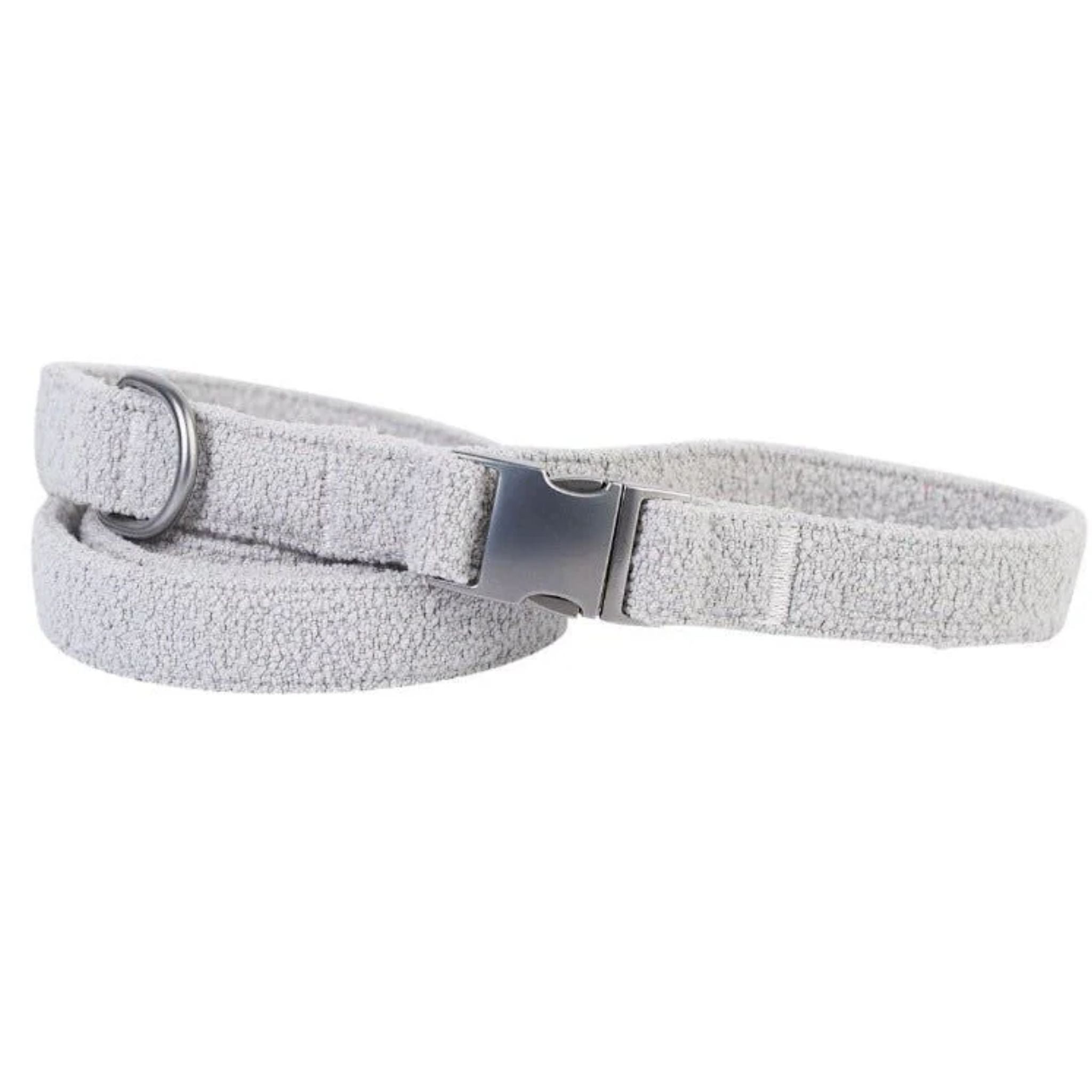 Lilly and Dash Dog Leash