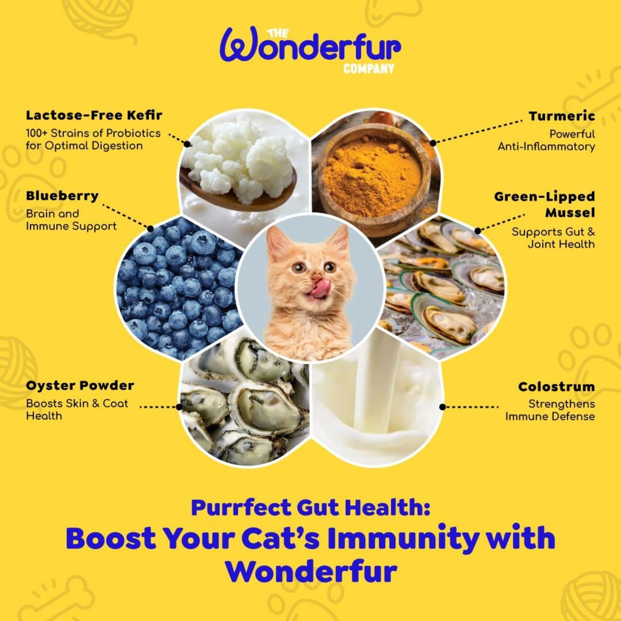 Wonderfur Bites Senior Support for Cats