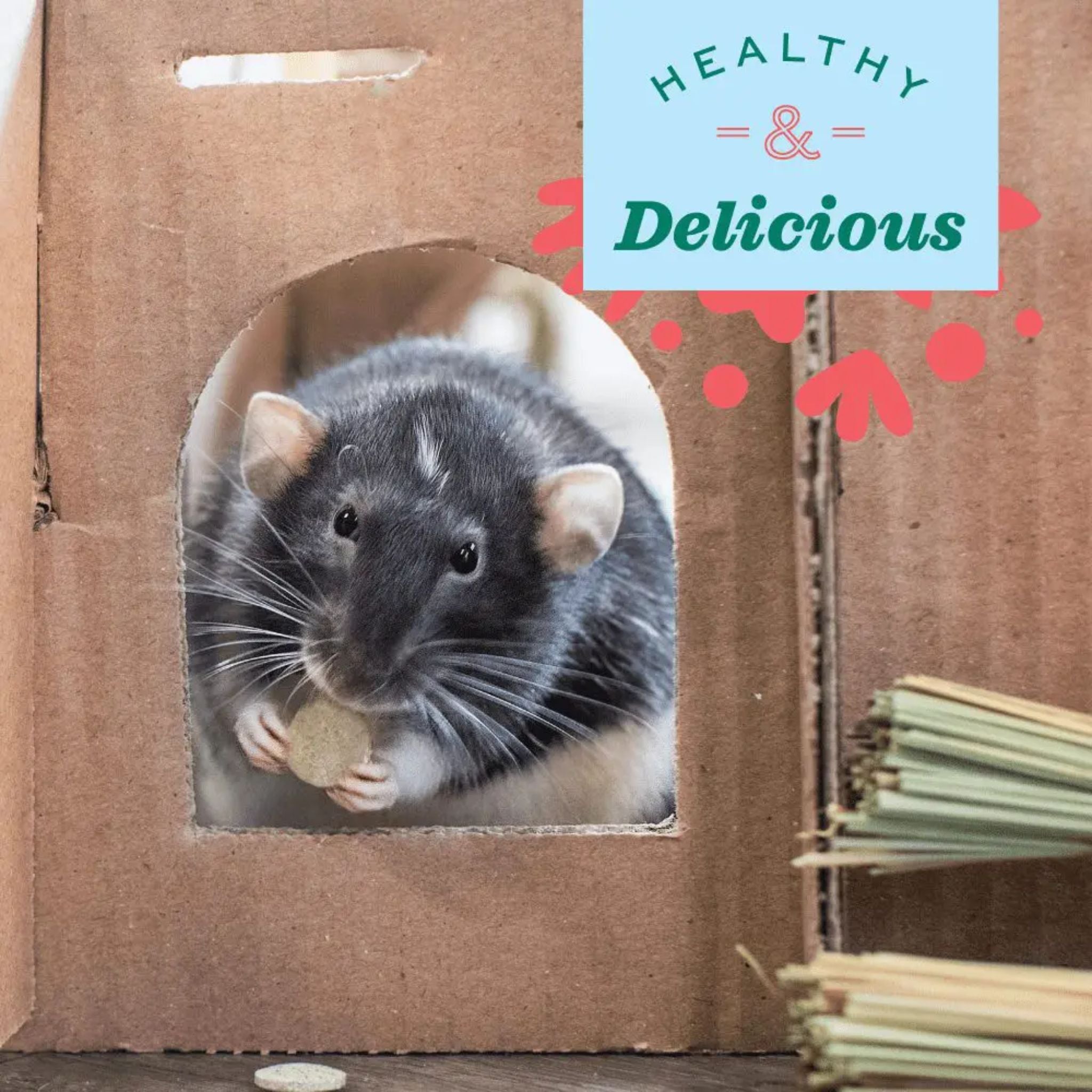 Oxbow Natural Science Papaya Support