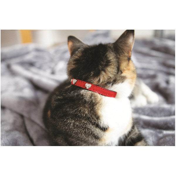 Rosewood Winter Fashion Cat Collar