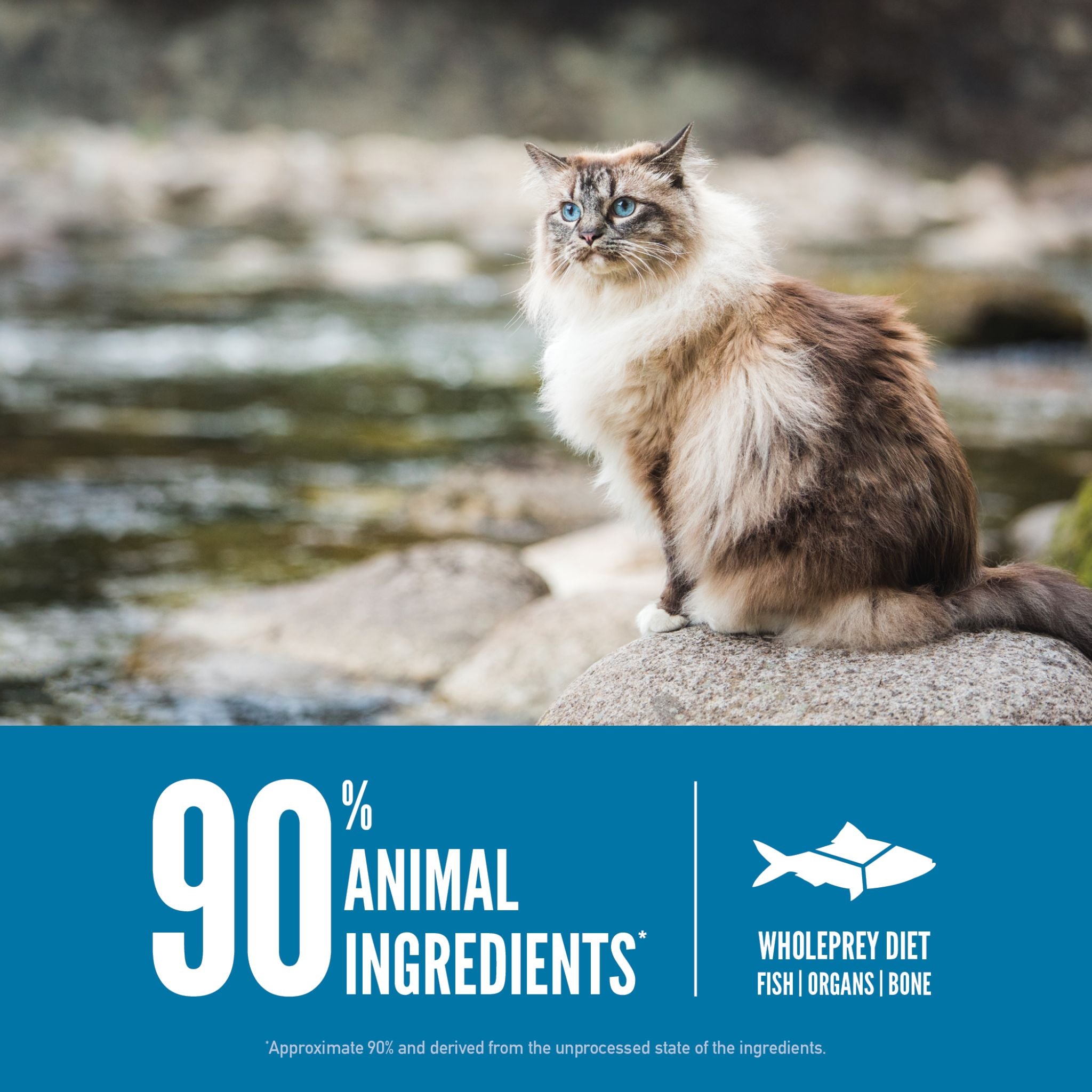 ORIJEN Biologically Appropriate Dry Cat Food Six Fish