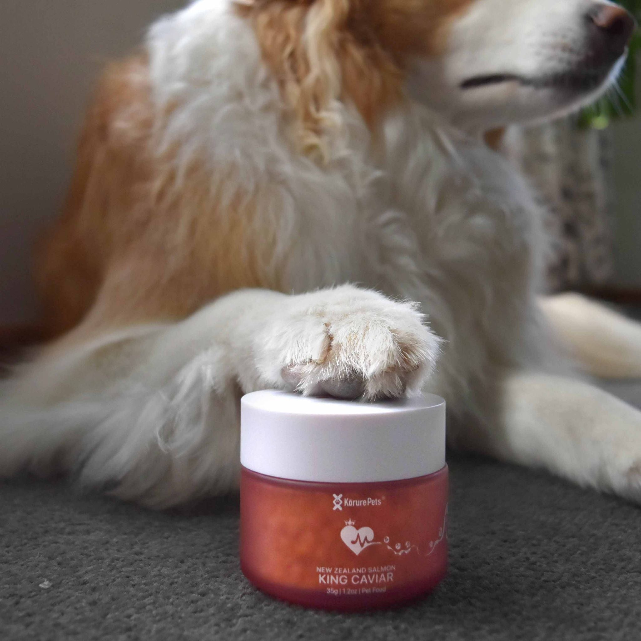 Korure Pets King Salmon Caviar for Dogs
