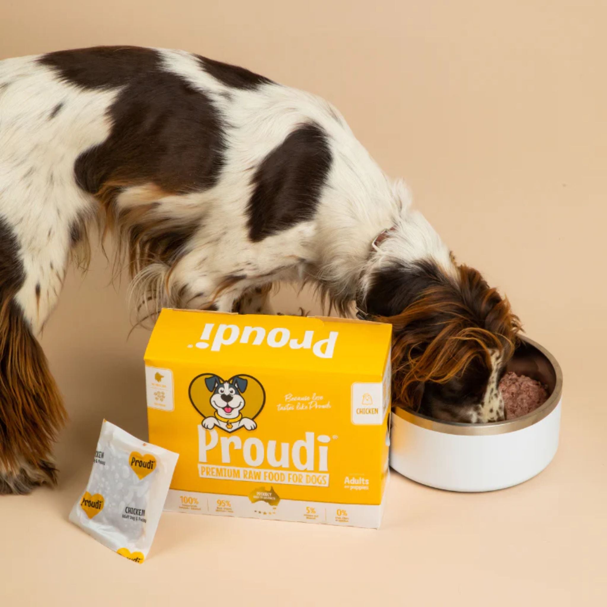 Proudi Chicken Raw Patties for Dogs
