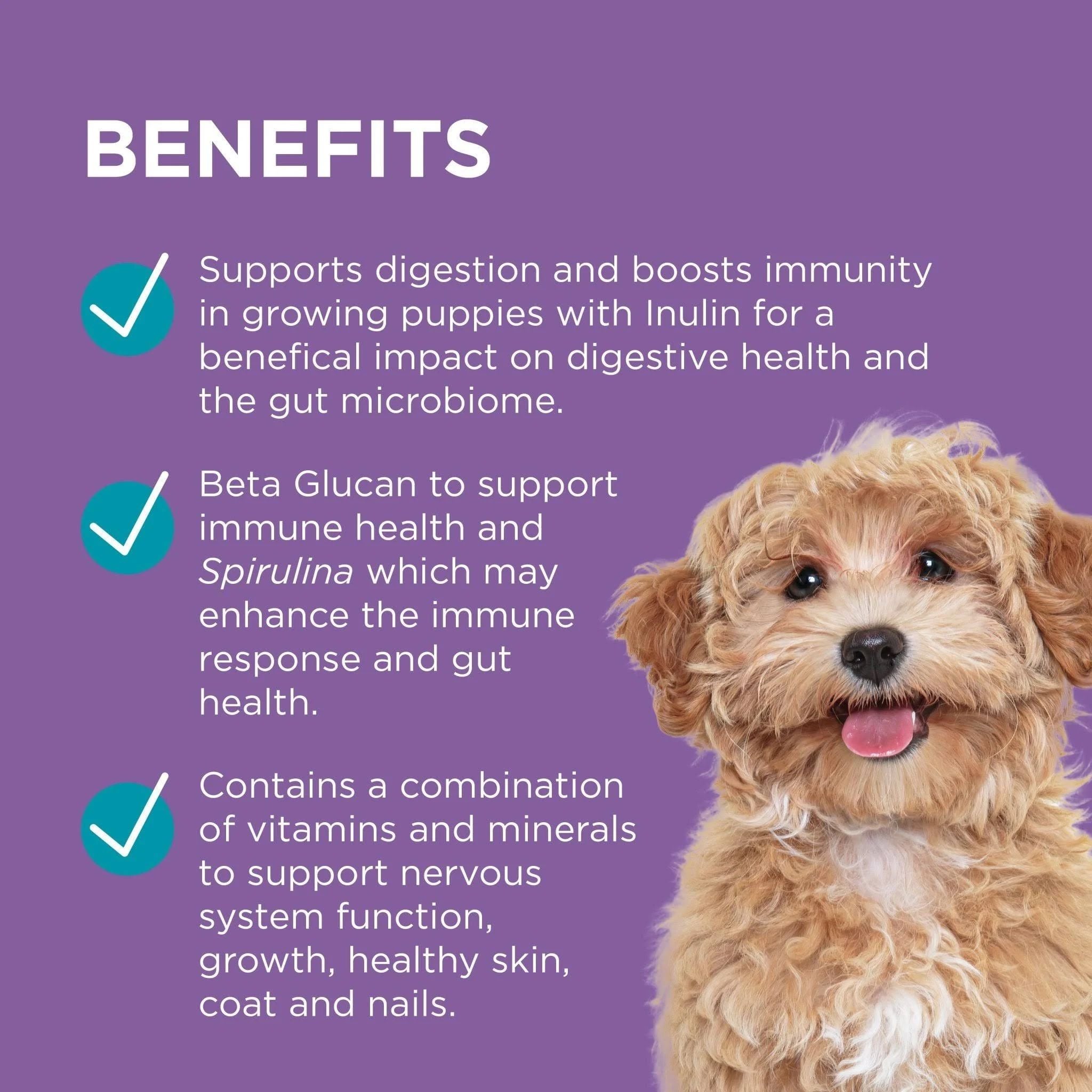 PAW by Blackmores Puppy Care Digest + Protect