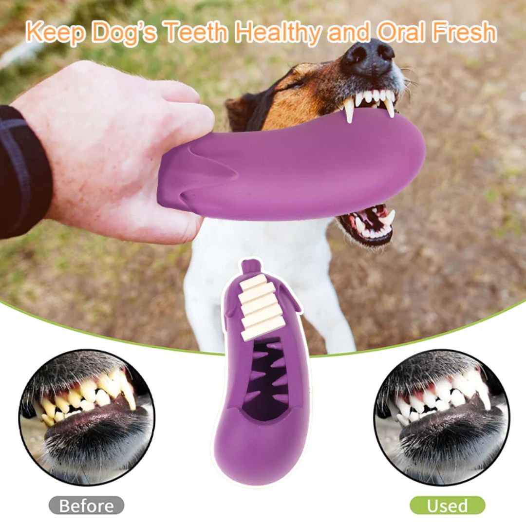 Petopia Ultra Tough Dog Toy Stuffed Eggplant