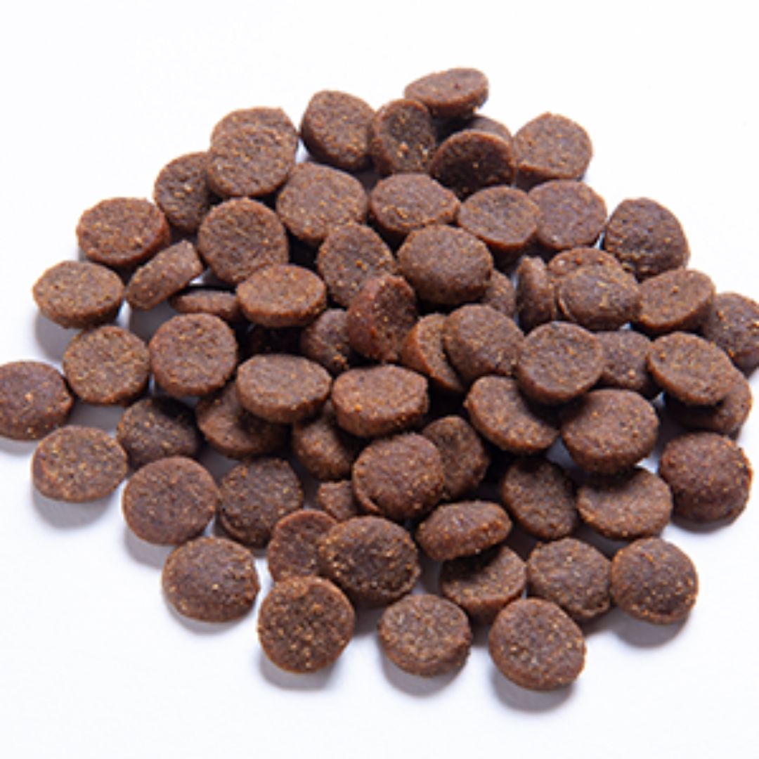 Blackdog Adult Dry Dog Food Gluten Free Chicken, Rice & Vegetable