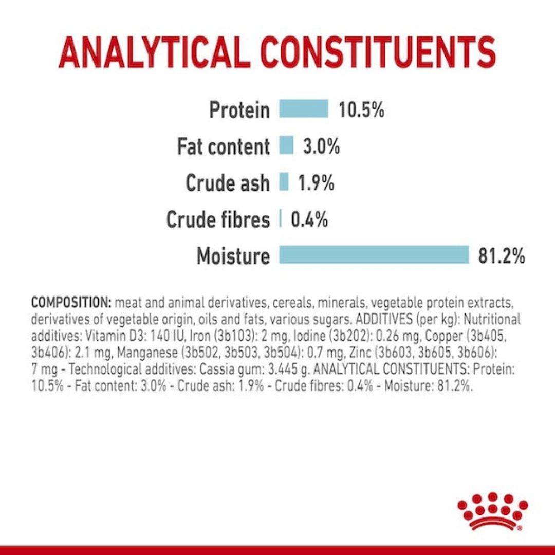 Royal Canin Wet Cat Food Sensory Feel Jelly | PeekAPaw Pet Supplies