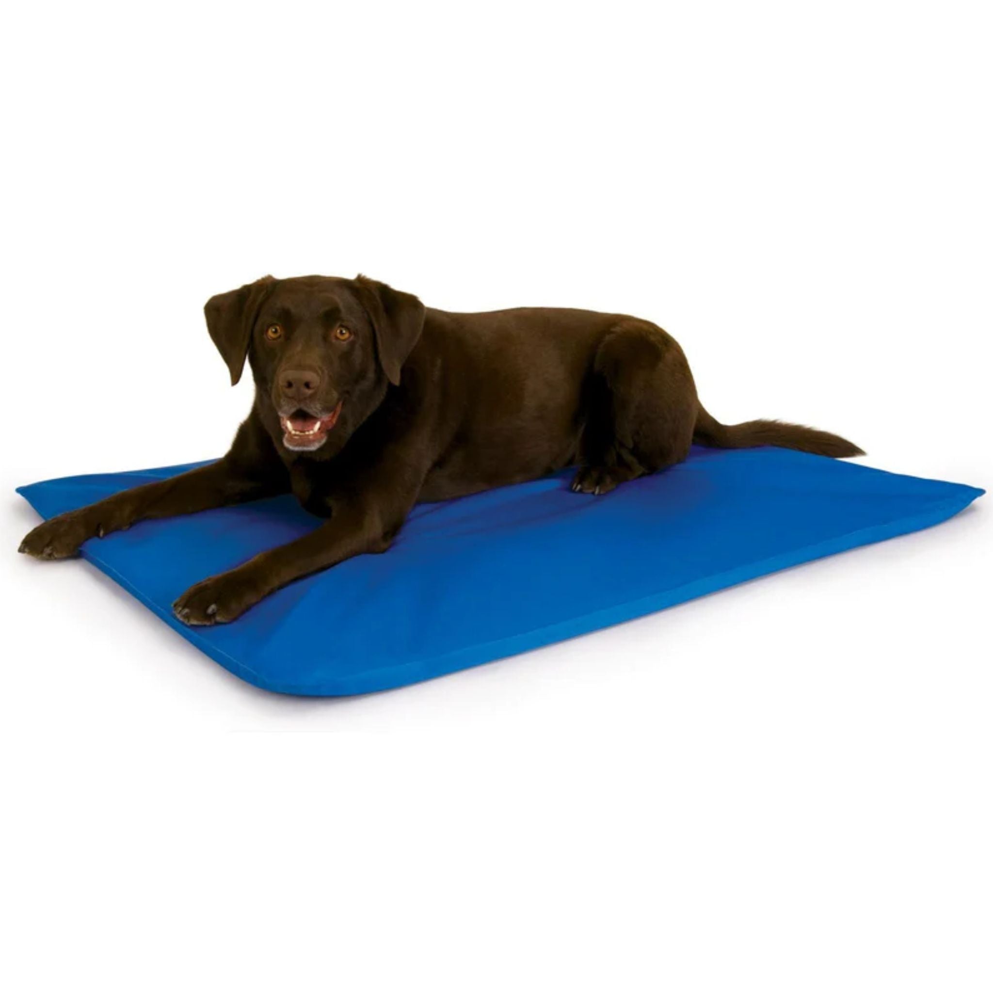K&H Cool Bed III Cooling Dog Bed