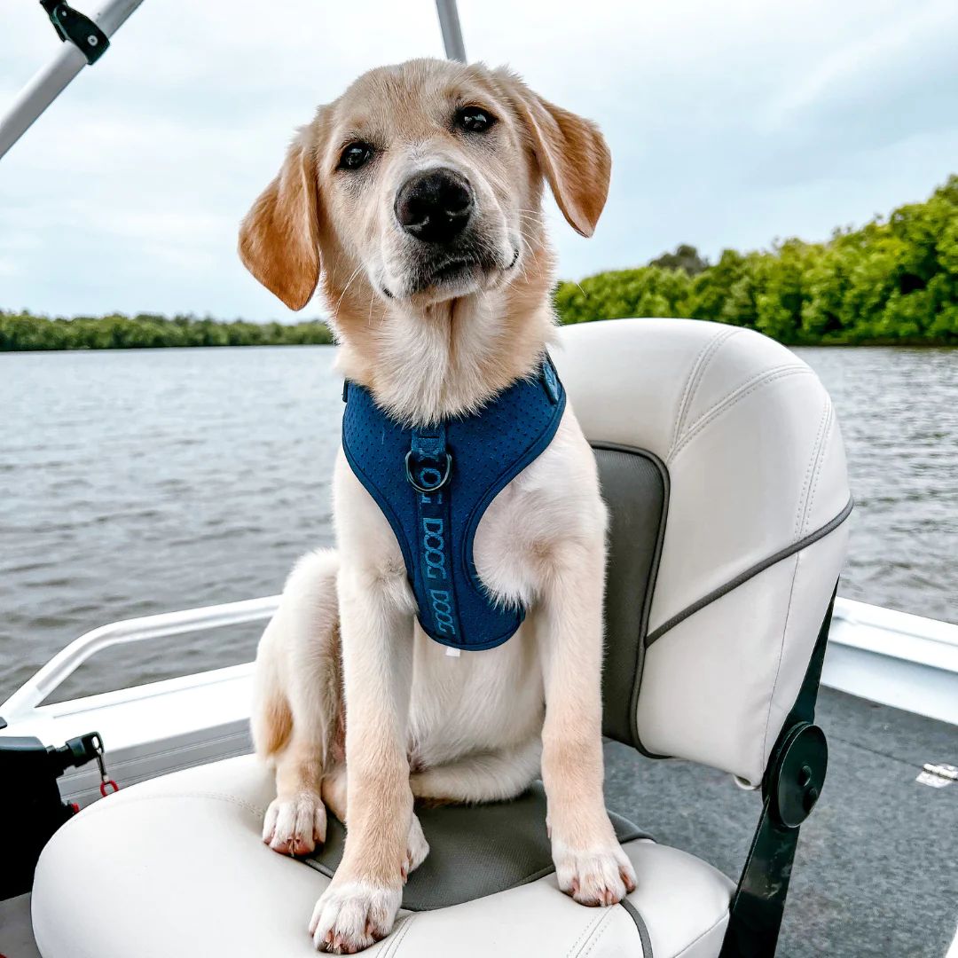 Doog Neosport Dog Soft Harness - Navy Blue | PeekAPaw Pet Supplies