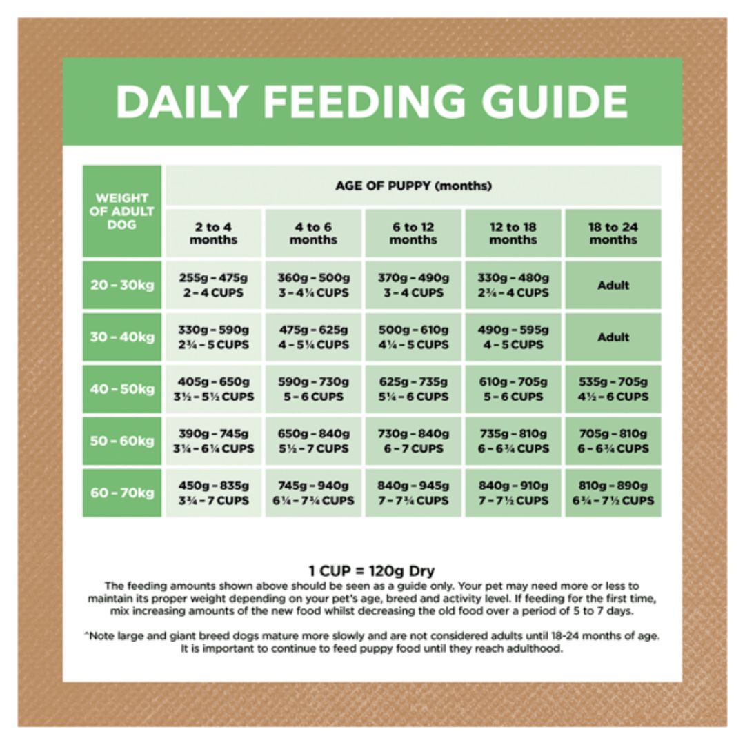 Ivory Coat Grain Free Puppy Large Breed Dry Dog Food Lamb