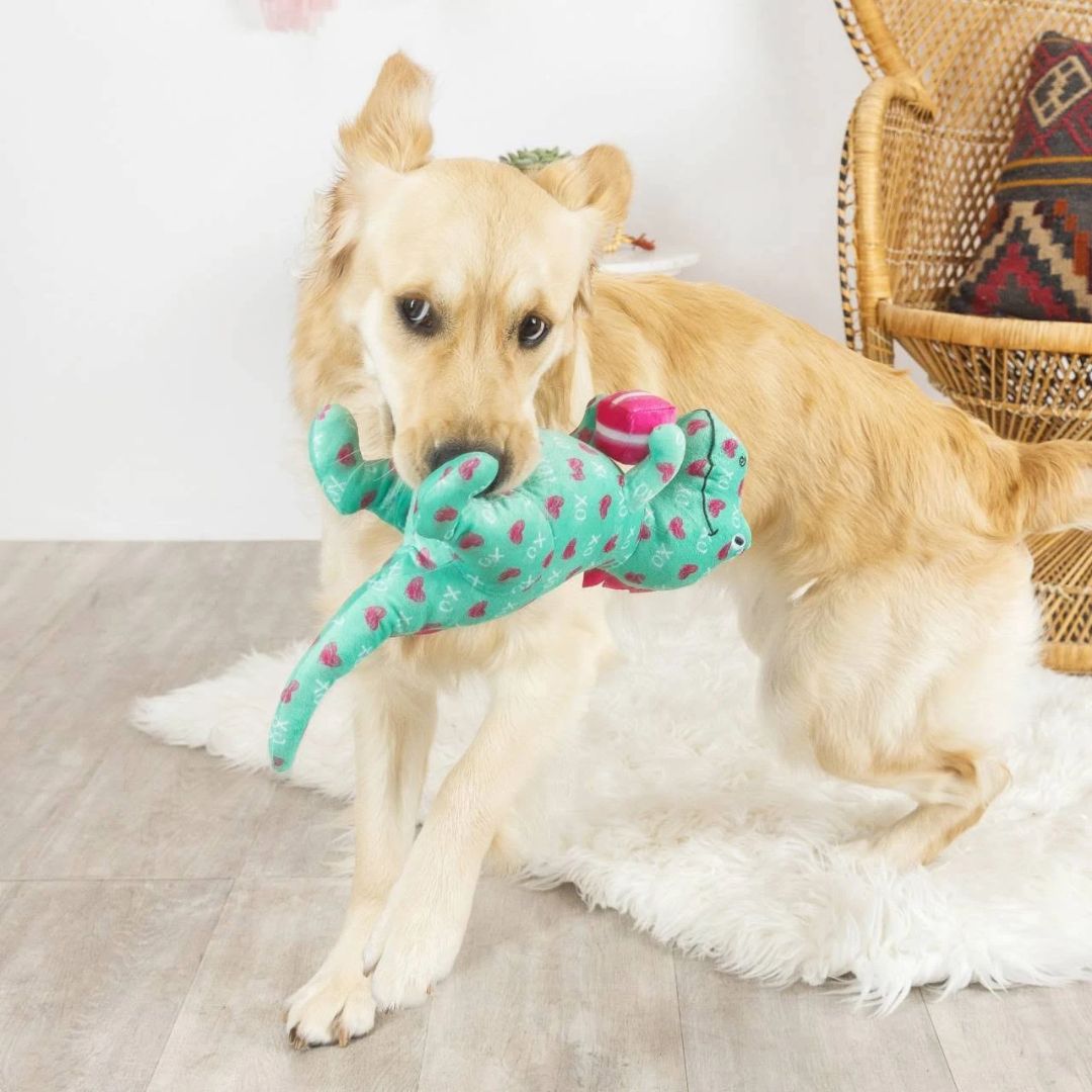 Fringe Studio Plush Squeaker Valentine's Day Dog Toy - XO Rex | PeekAPaw Pet Supplies