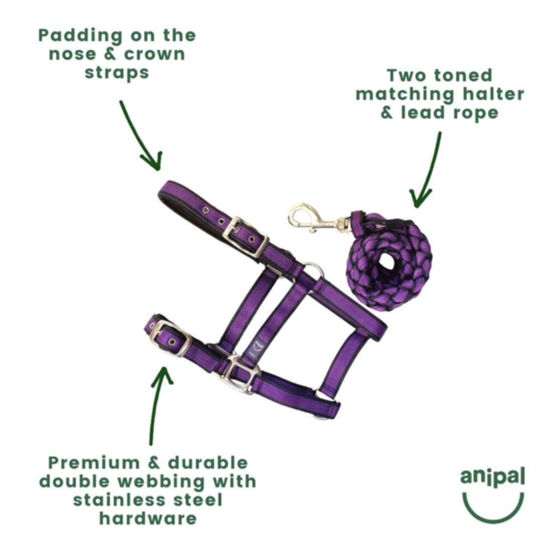 Anipal Autumn Lilac Recycled Comfort Halter & Lead Set | PeekAPaw Pet Supplies