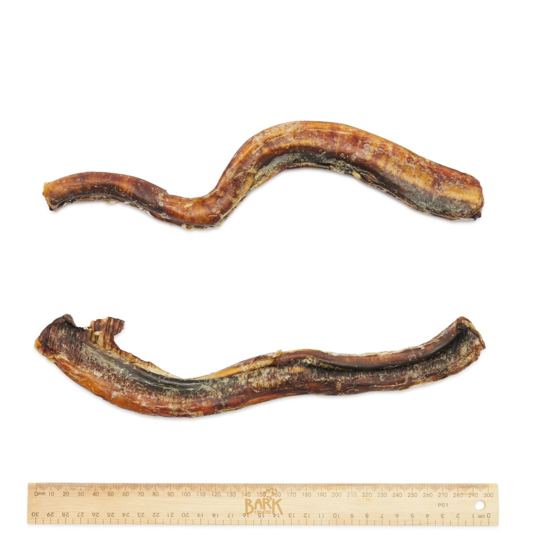 Bark & Beyond Bully Sticks - Large | PeekAPaw Pet Supplies