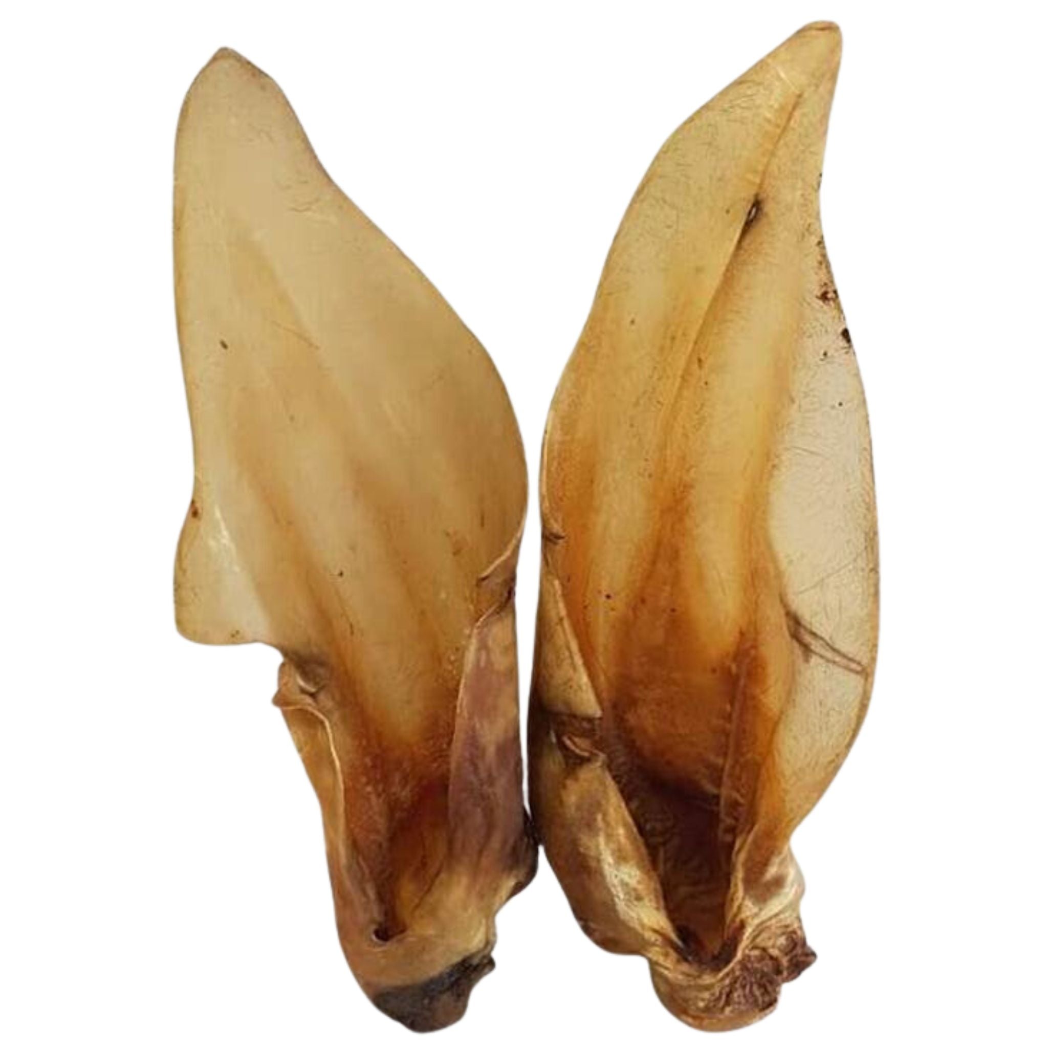 Bark and Beyond Beef Ears Dog Treats