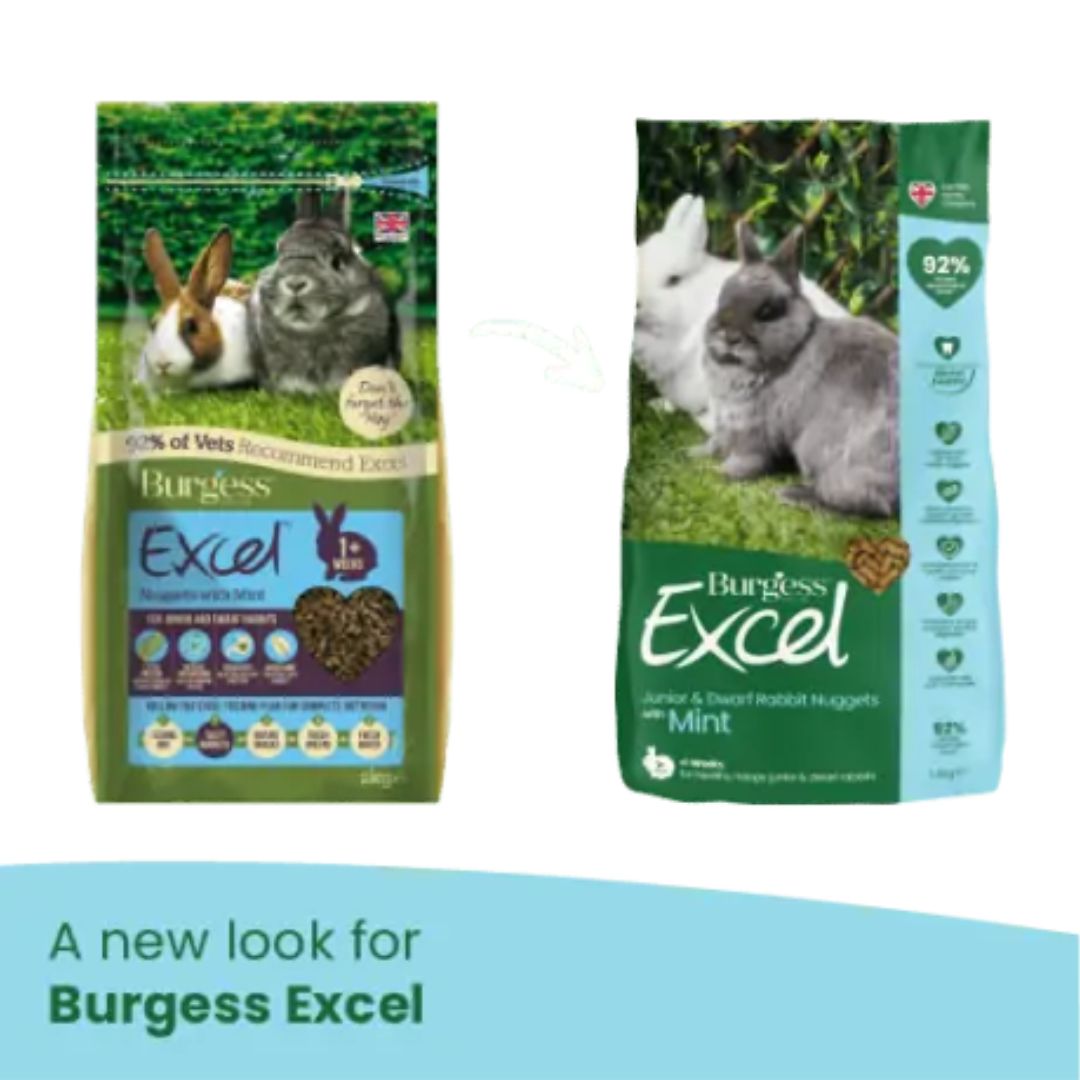 Burgess Excel Junior & Dwarf Rabbits Nuggets Mint - New packaging | PeekAPaw Pet Supplies