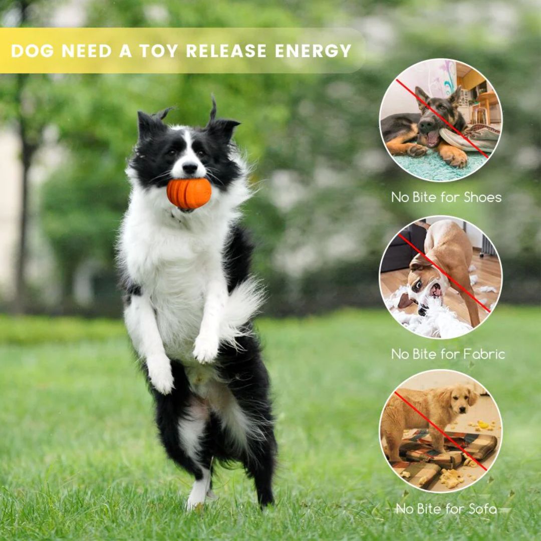 Petopia Ultra Tough Dog Toy Zesty Orange