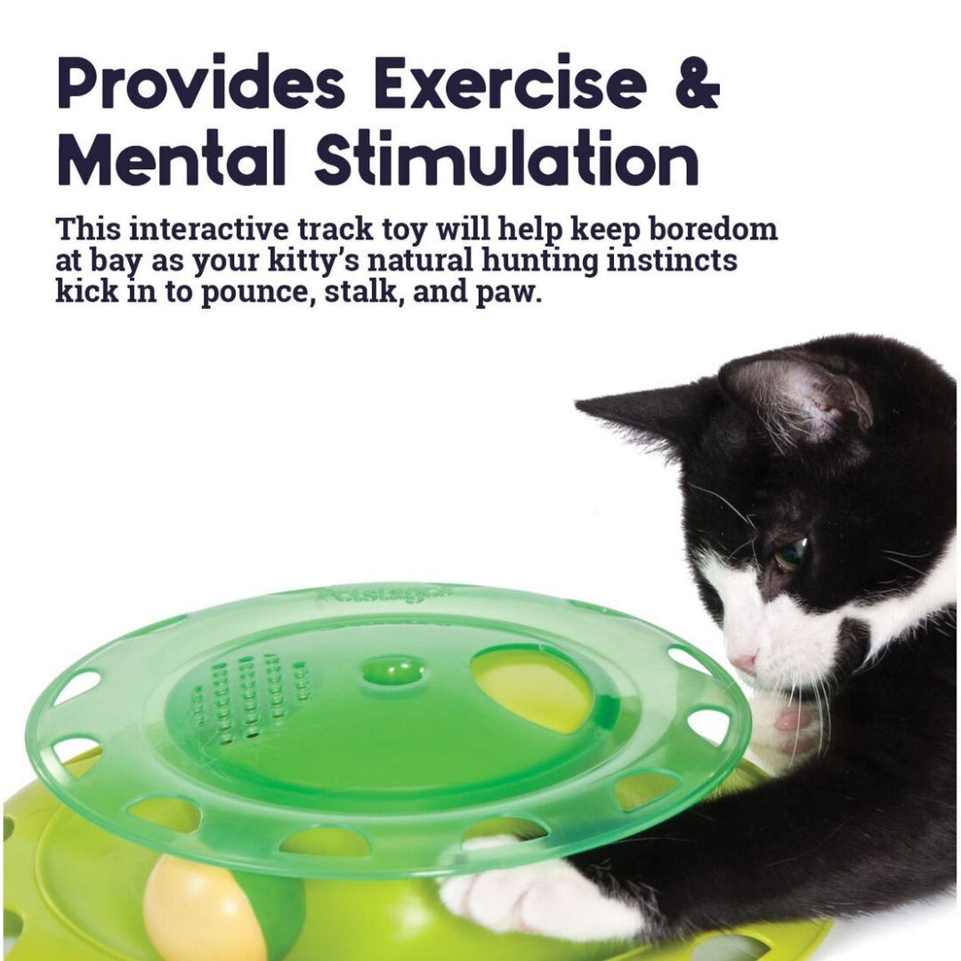 Petstages Catnip Chaser Interactive Cat Toy