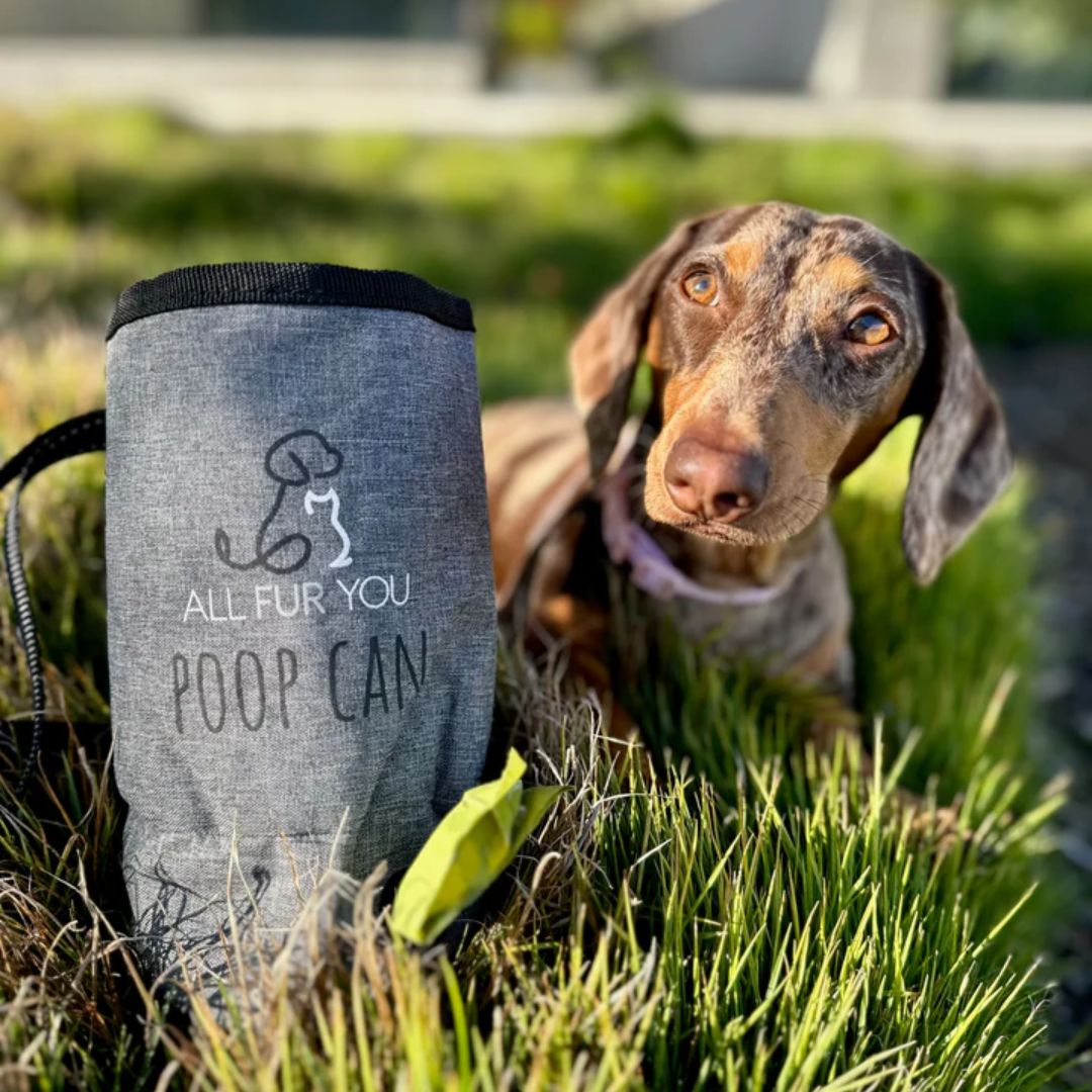 All Fur You Poop Can - Portable Bag Dispenser and Carry Full Bags - Grey | PeekAPaw Pet Supplies