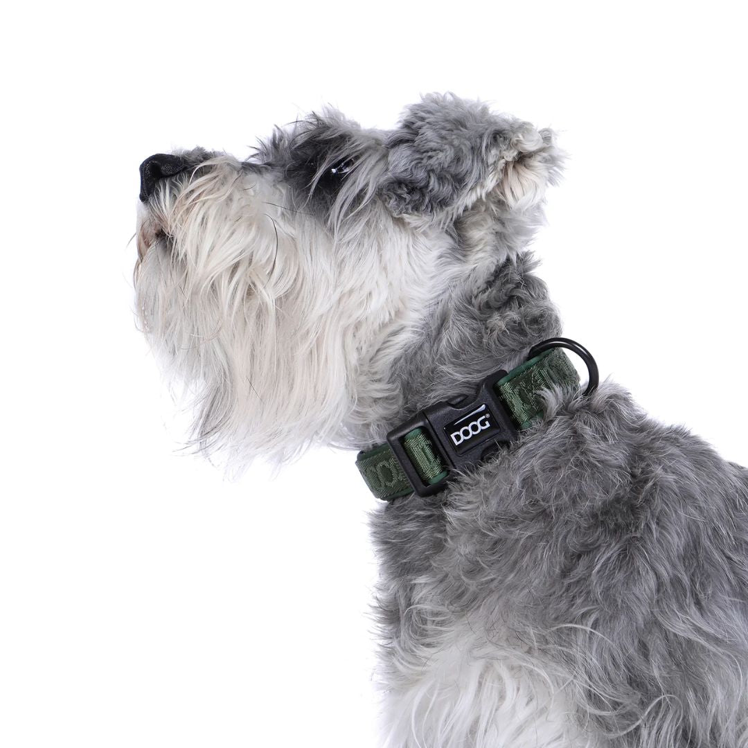 Doog Neosport Neoprene Dog Collar - Olive Green | PeekAPaw Pet Supplies
