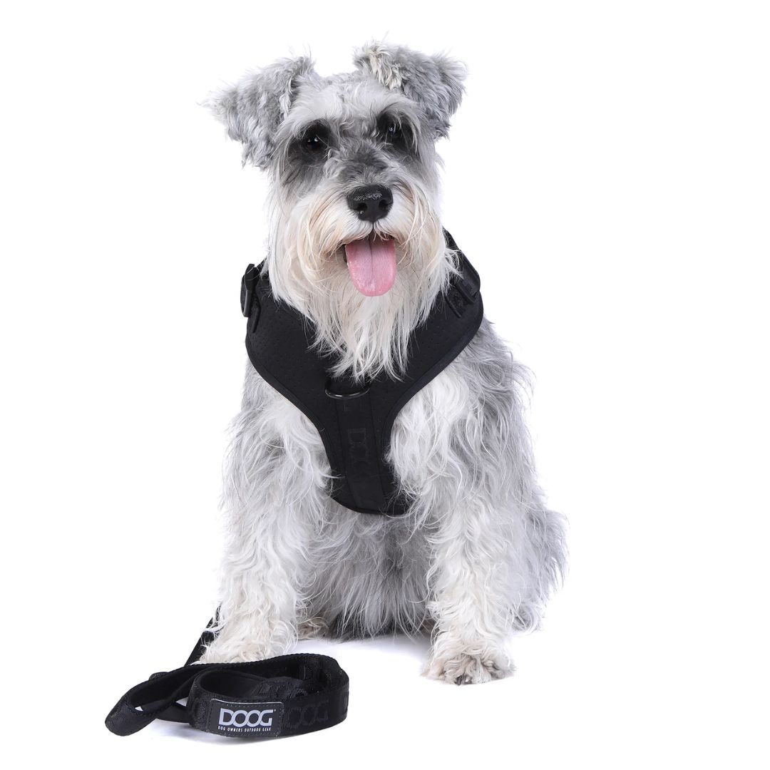 Doog Neosport Dog Soft Harness - Black | PeekAPaw Pet Supplies
