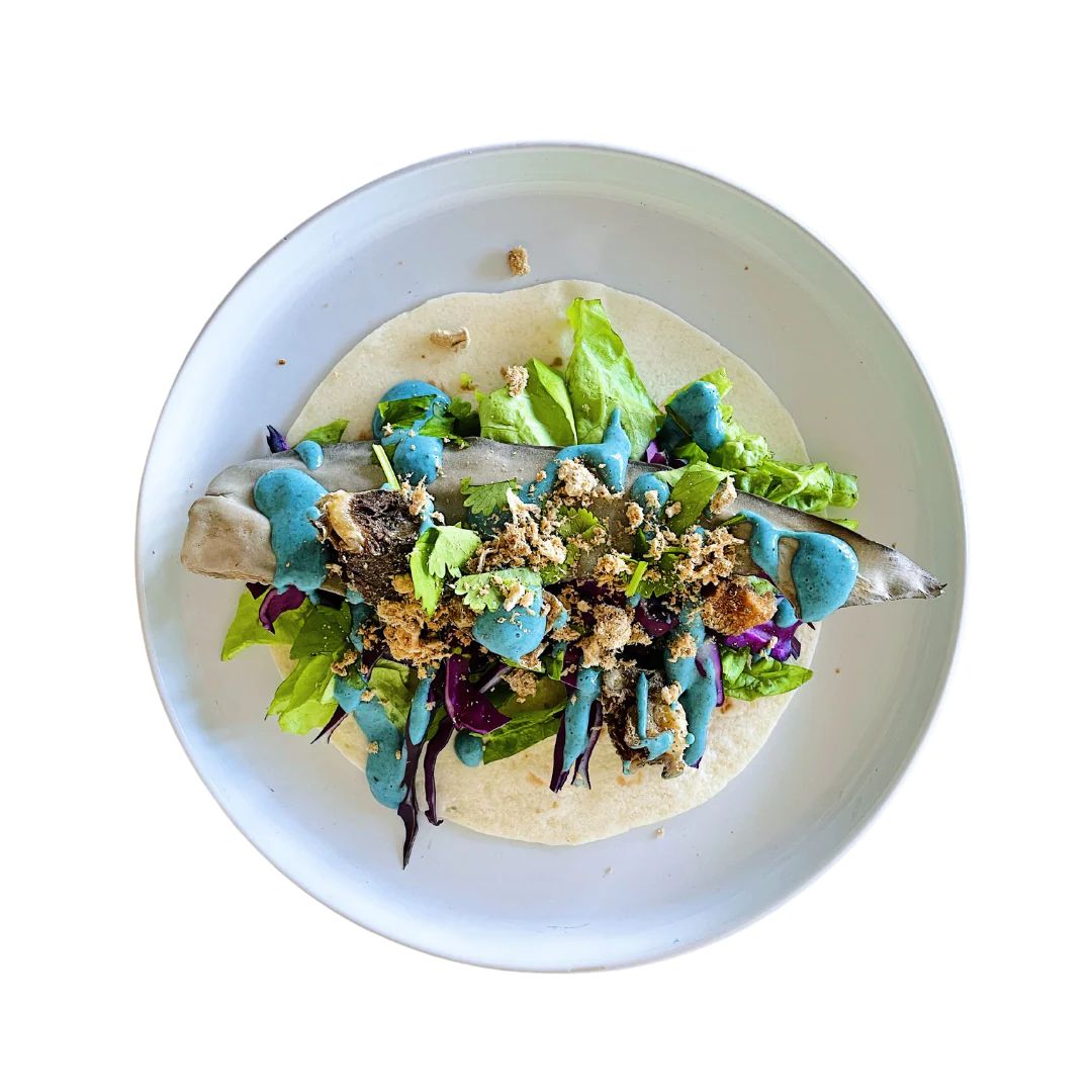 Norm Alice In Wonderland Freakshake | PeekAPaw Pet Supplies